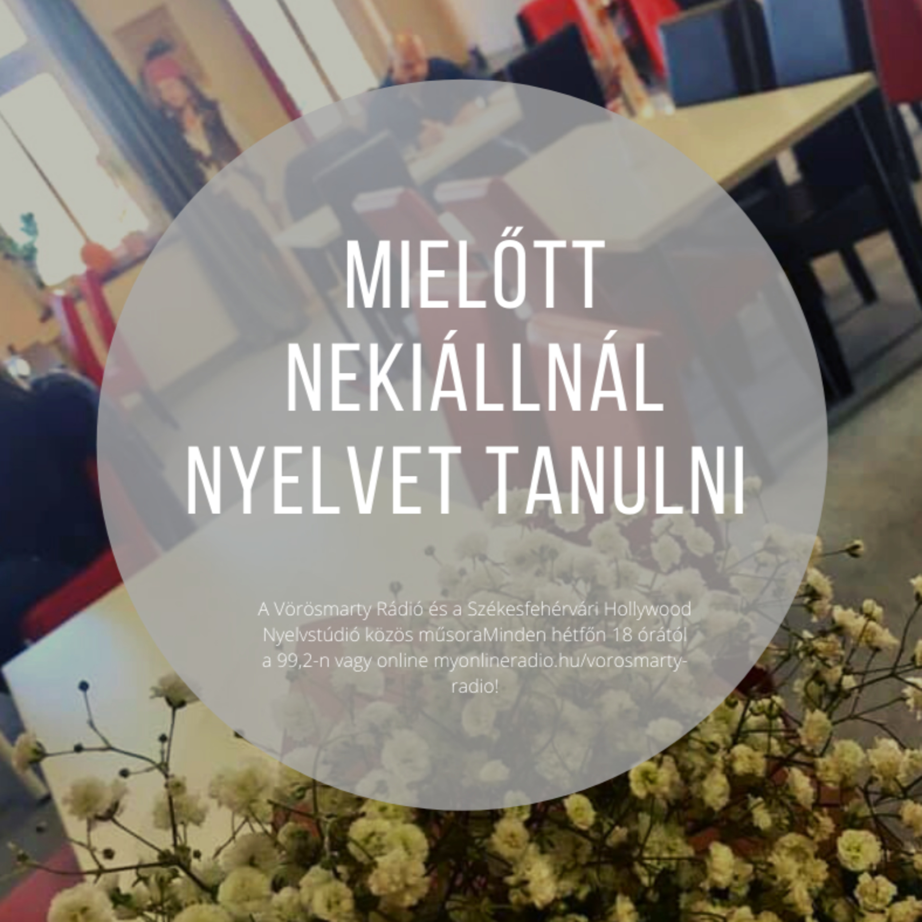 Mielőtt nekiállsz nyelvet tanulni....