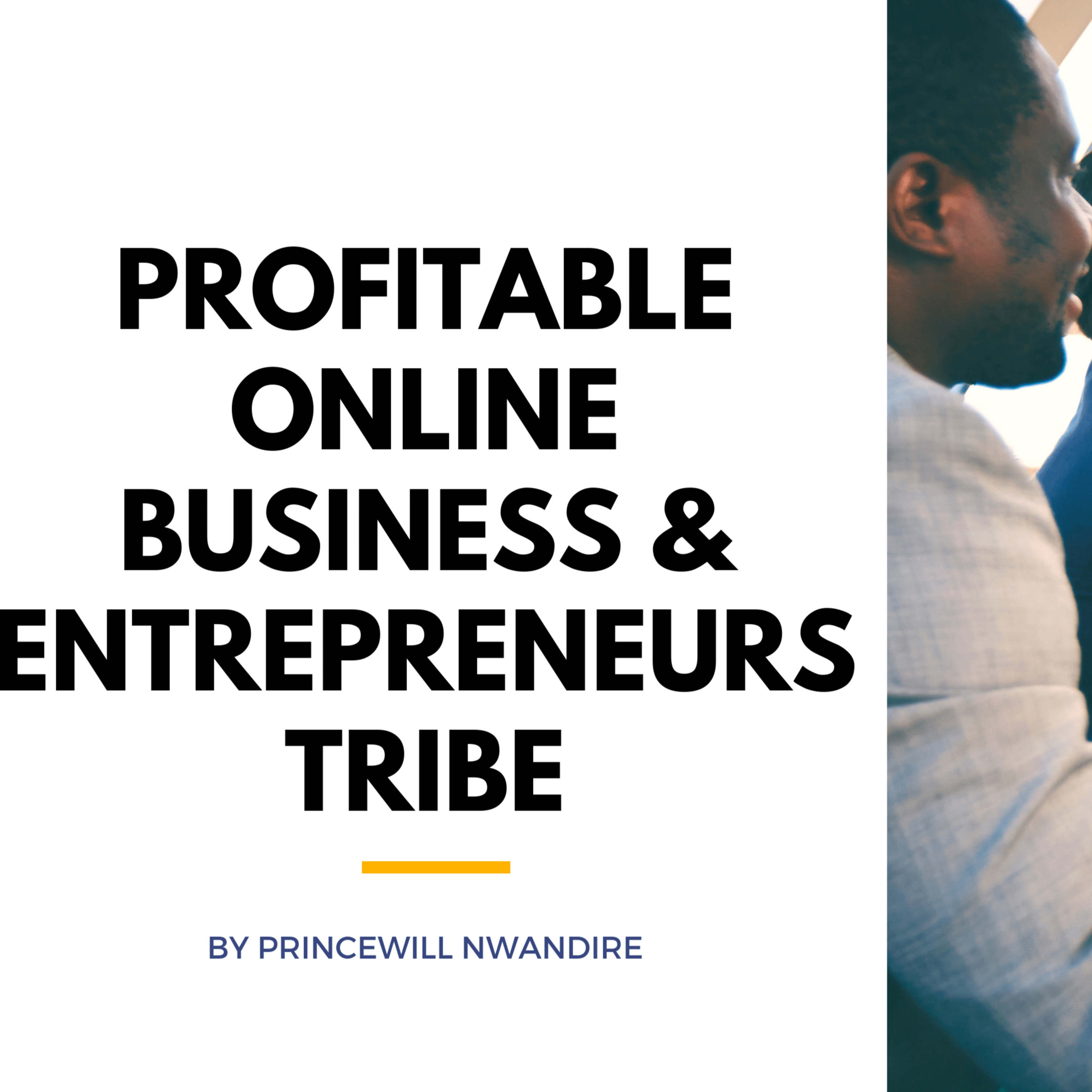 Artwork for Profitable KDP Publishing Business