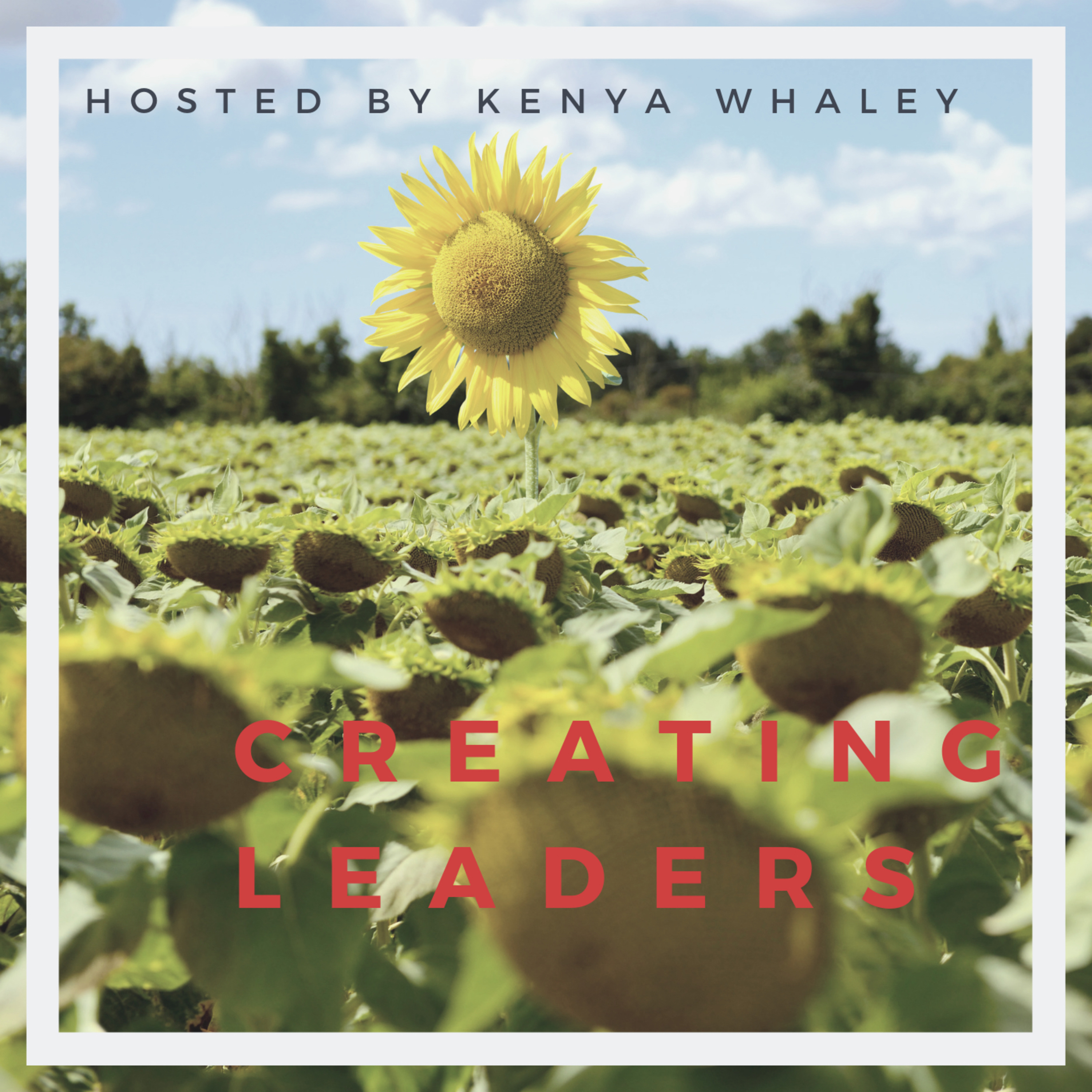 Creating Leaders- Vision episode artwork