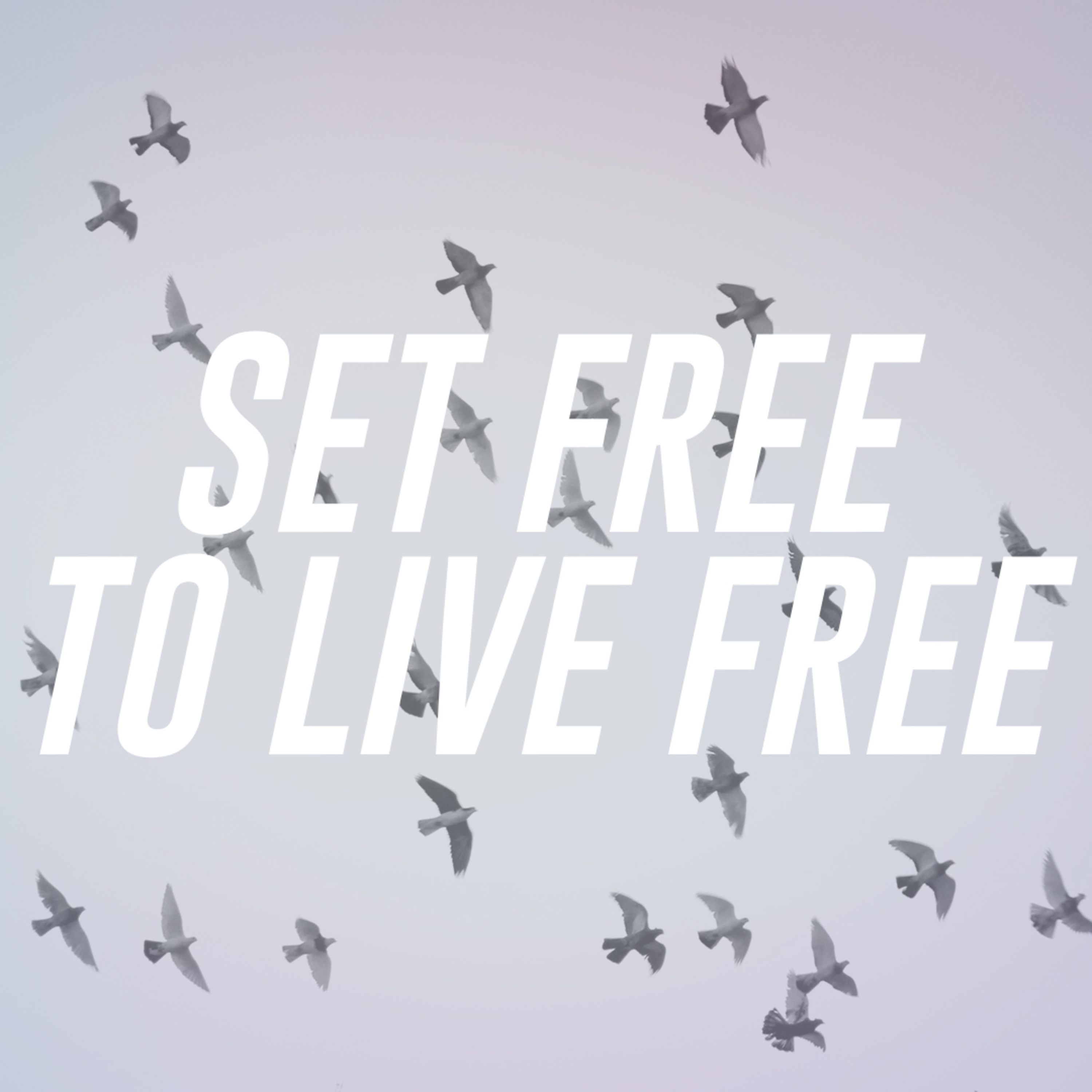 Set Free to Live Free // Part 3 episode artwork