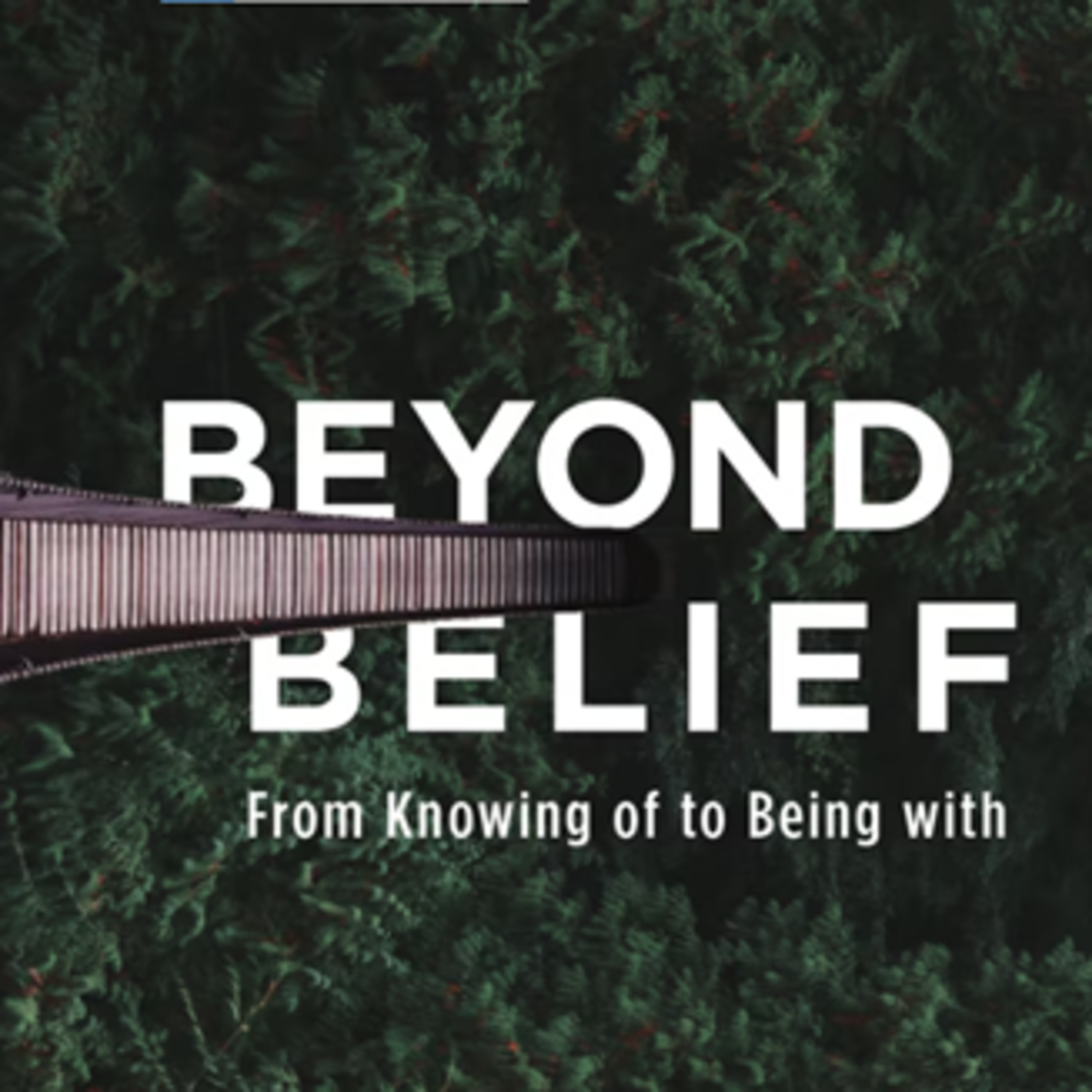 Beyond Belief // The Story of God's Presence episode artwork