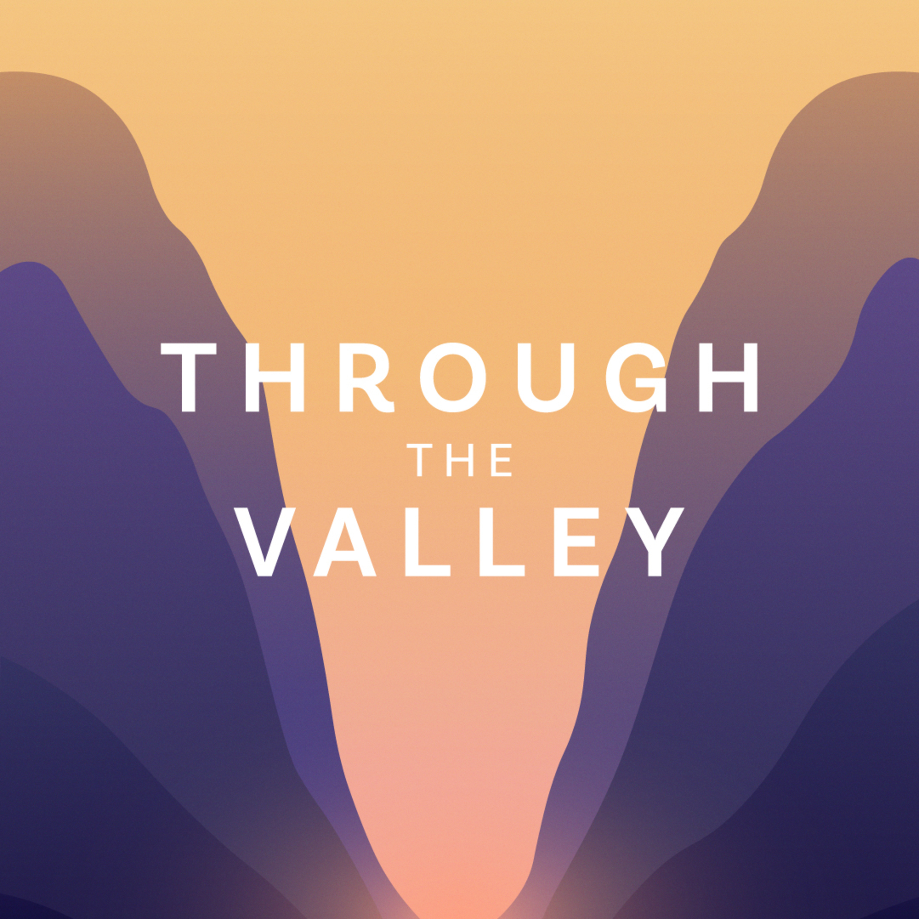 Through The Valley // Purpose In The Valley episode artwork