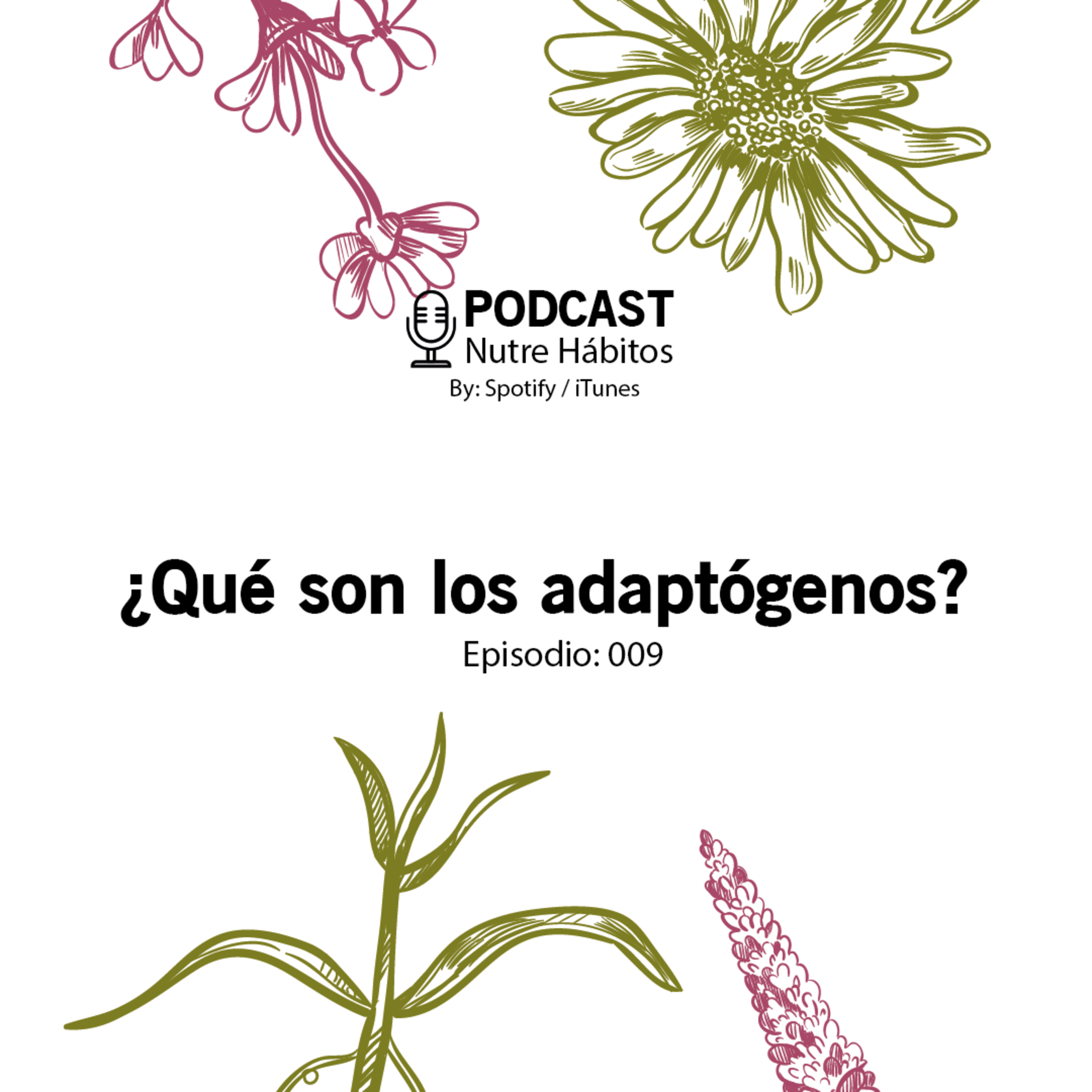 009.¿Qué son los adaptógenos?