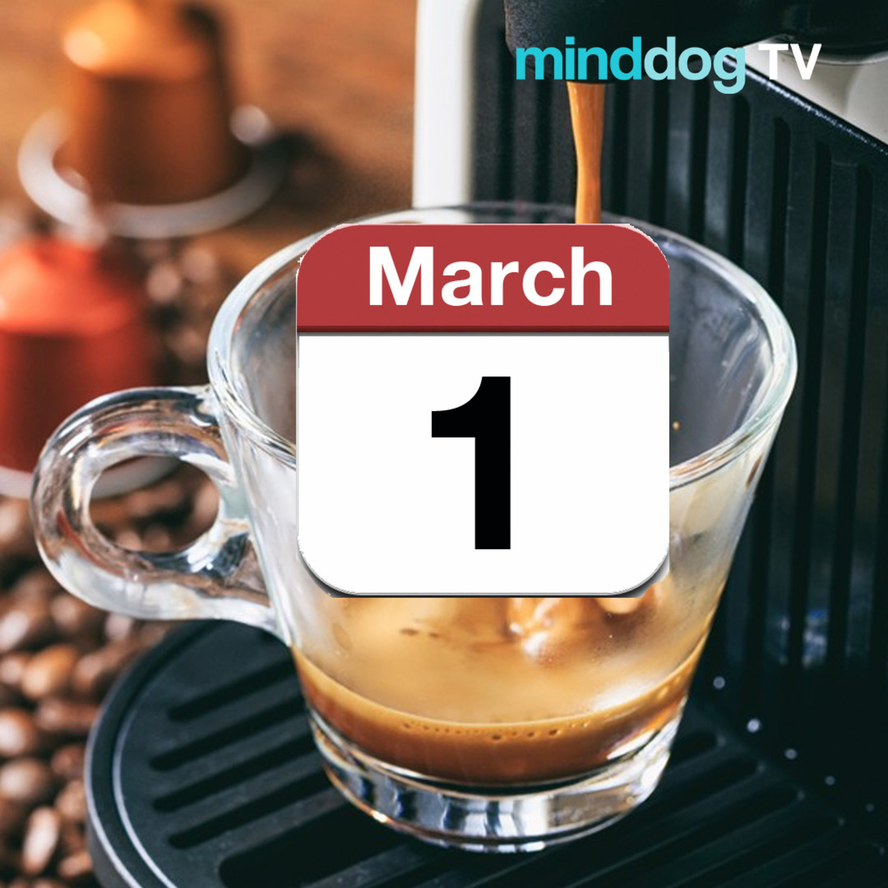 Coffee with the Dog EP322 - In Like A Dog episode artwork