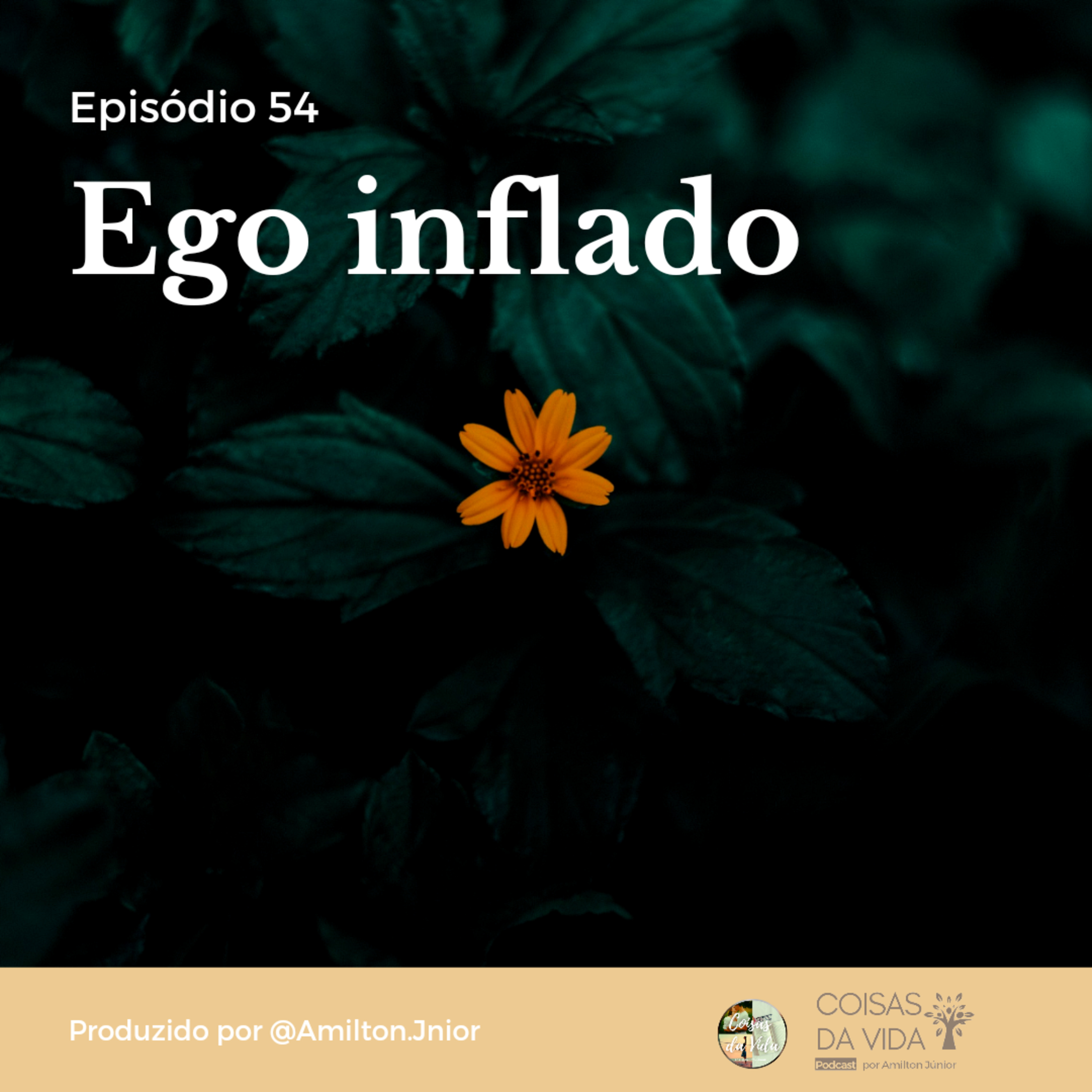 Coisas Da Vida Podcast
