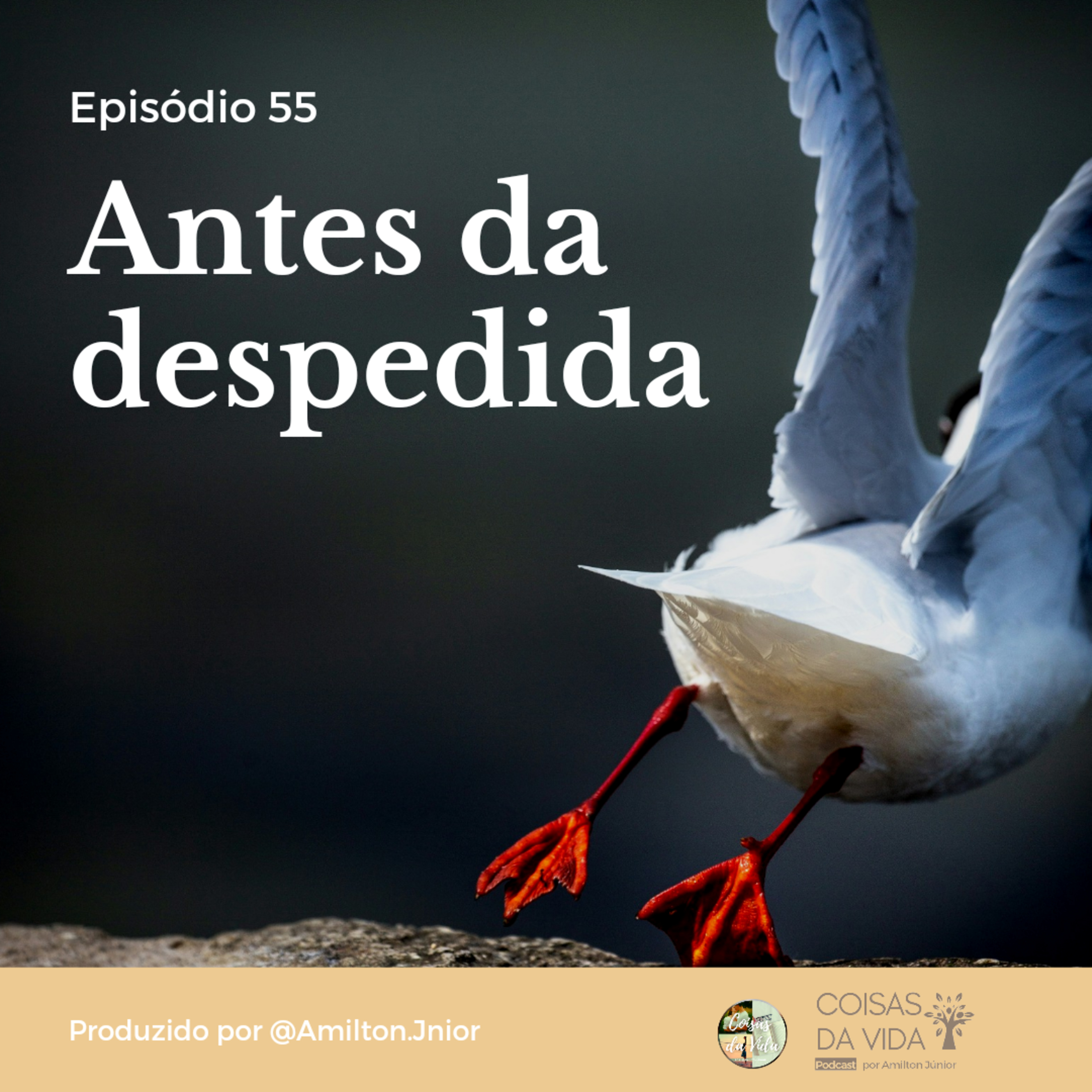Coisas Da Vida Podcast