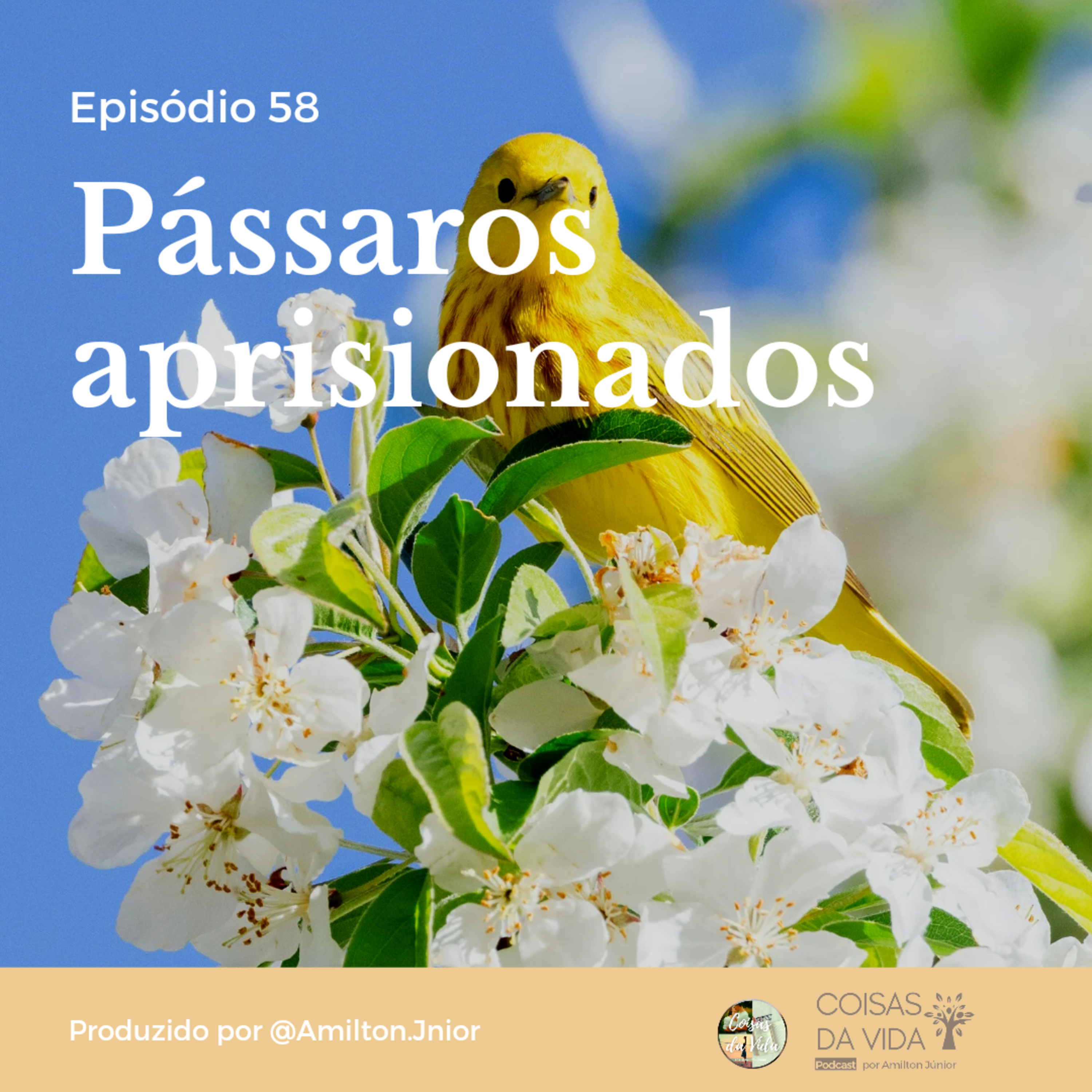 Coisas Da Vida Podcast