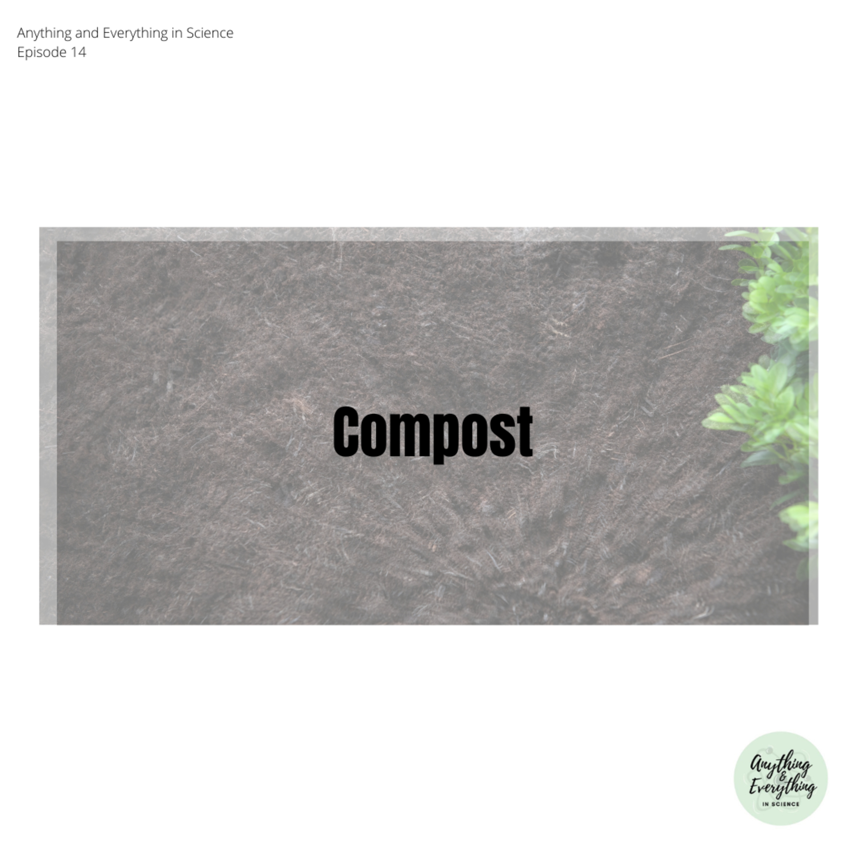 Understanding Compost episode artwork