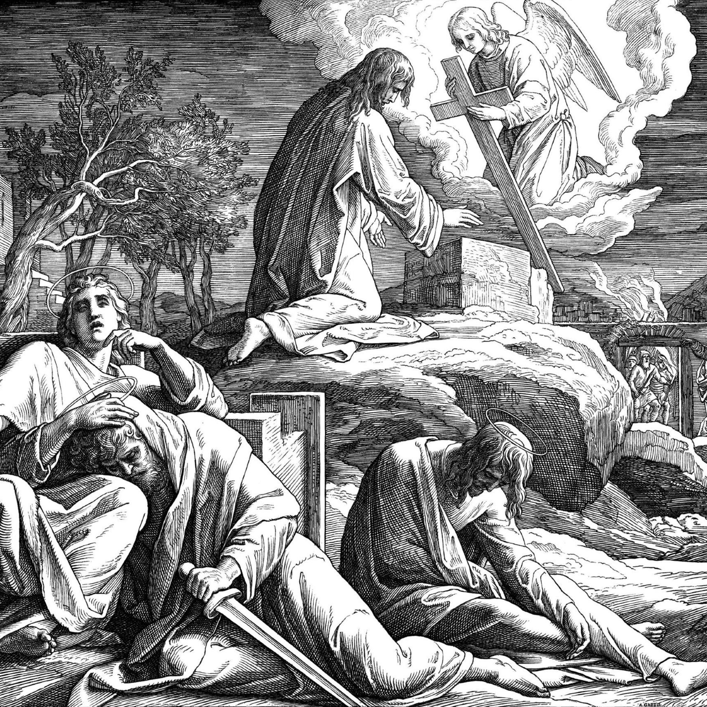 Martin Luther Evangelical Lutheran Church