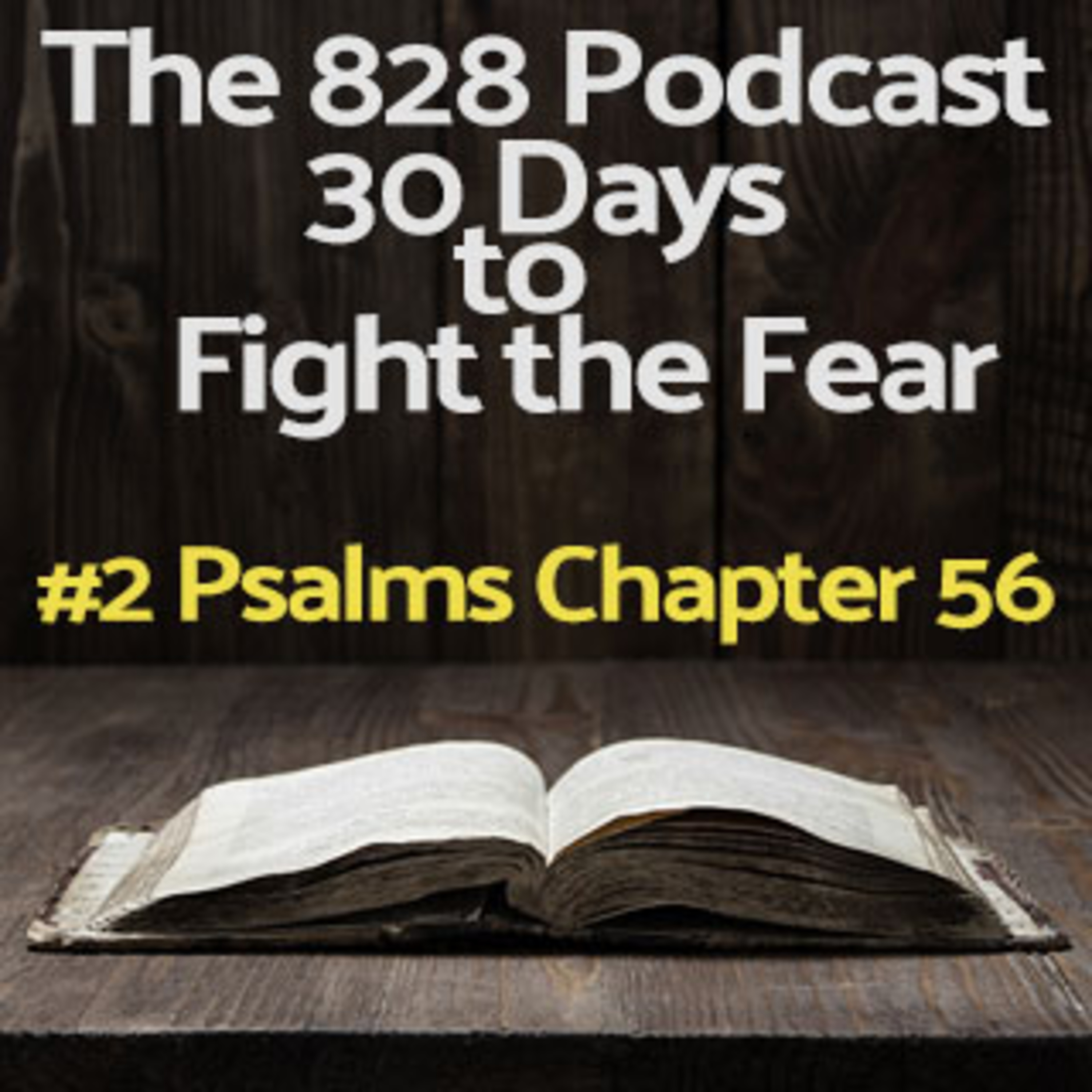 30 Days to Fight the Fear | #2 Psalm 56 episode artwork