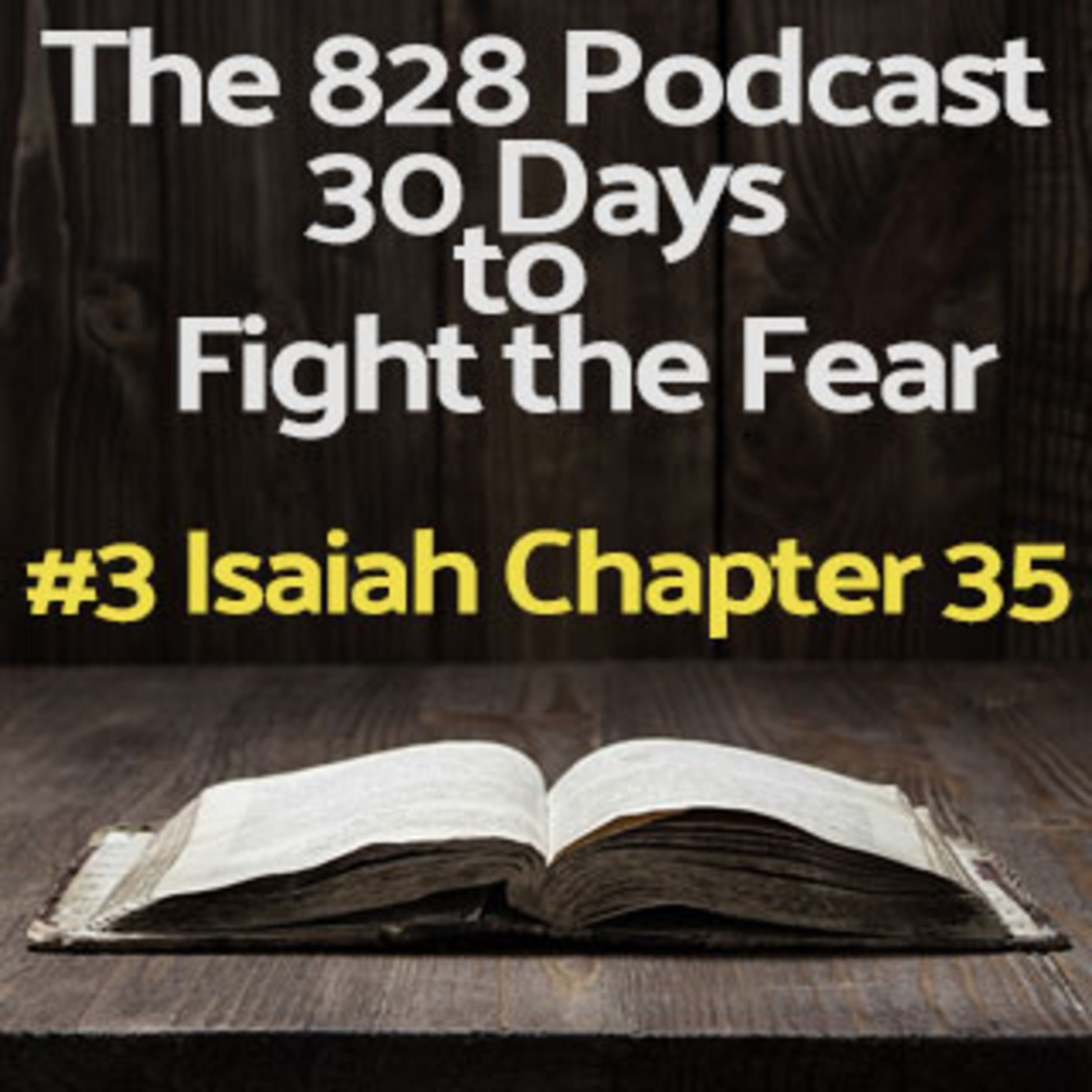 30 Days to Fight the Fear | #3 Isaiah Chapter 35 episode artwork