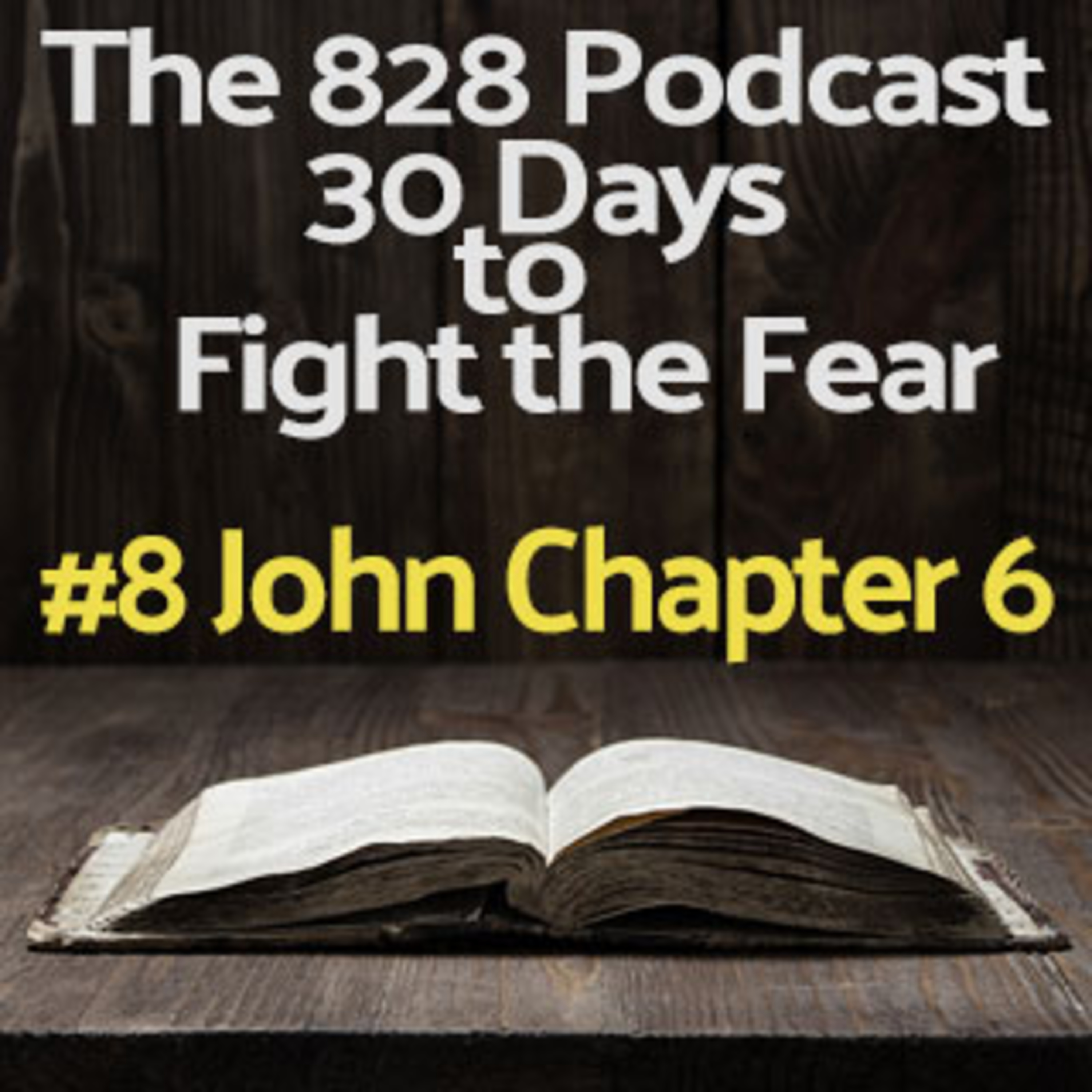 30 Days to Fight the Fear | #8 John Chapter 6 episode artwork