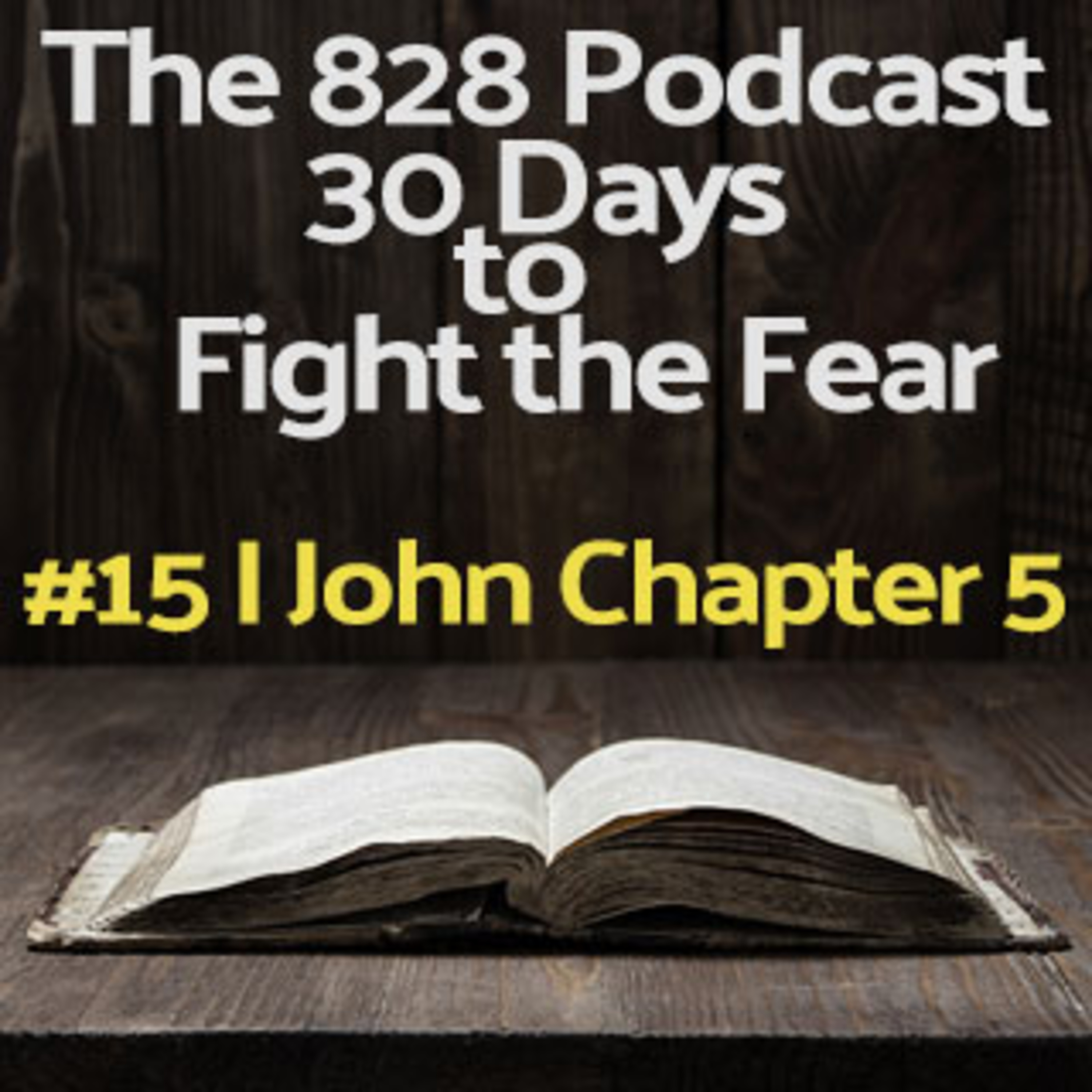 30 Days to Fight the Fear | #15 I John Chapter 5 episode artwork