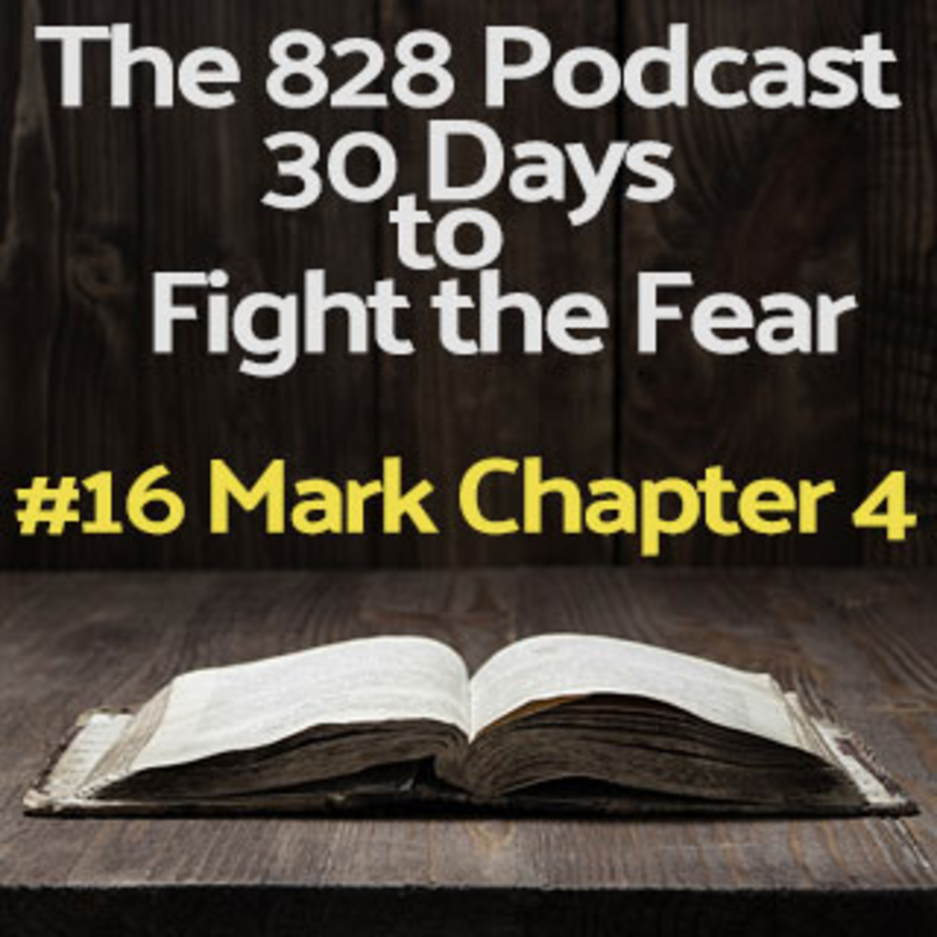 30 Days to Fight the Fear | #16 Mark Chapter 4 episode artwork