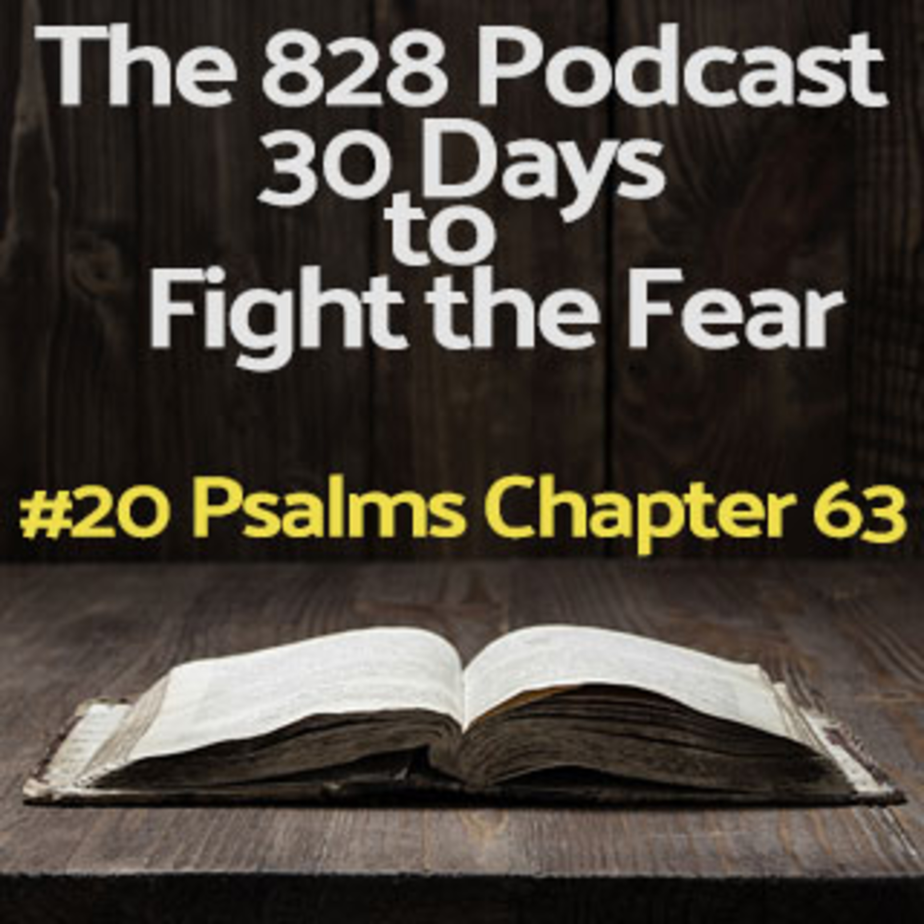 30 Days to Fight the Fear | #20 Psalms Chapter 63 episode artwork