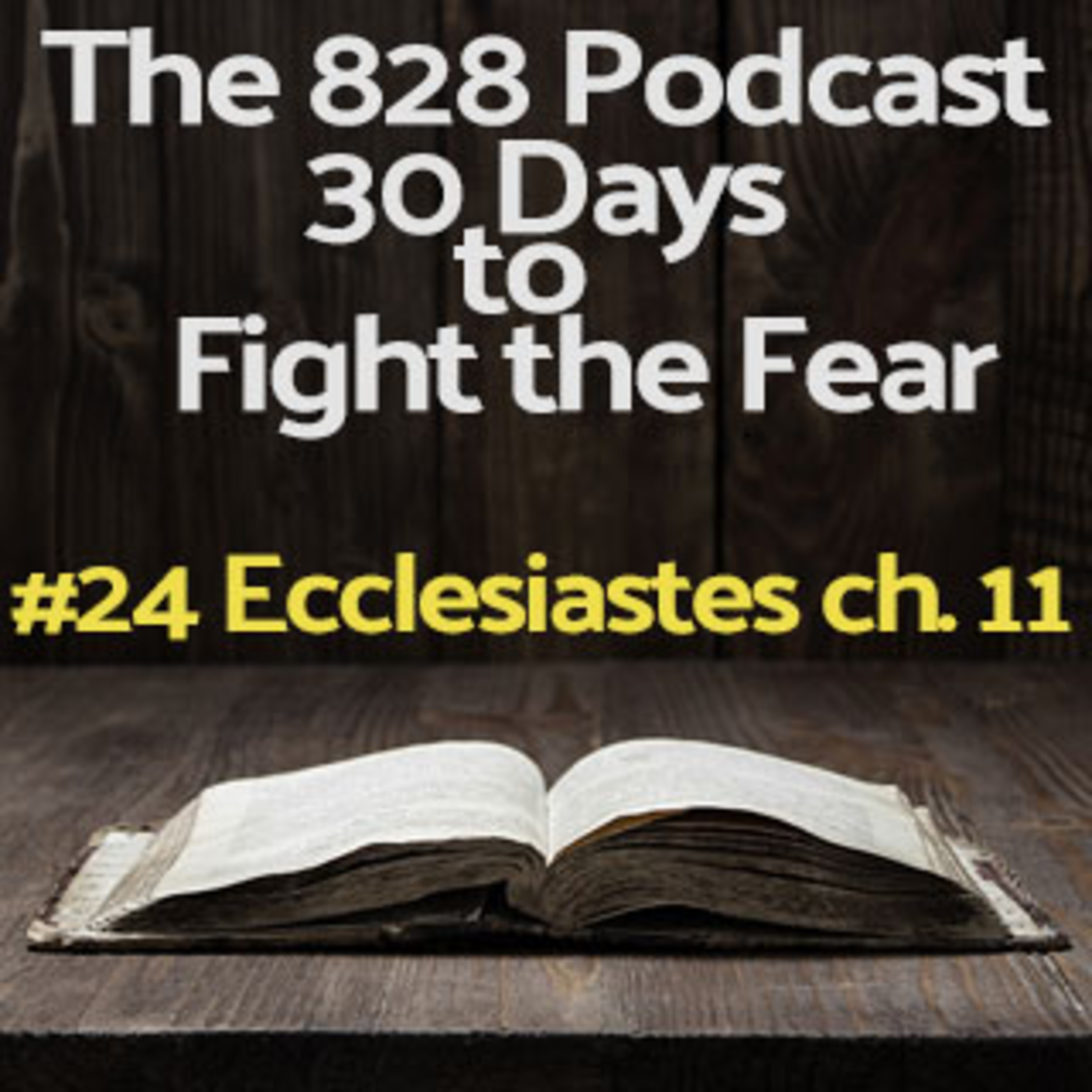 30 Days to Fight the Fear | #24 Ecclesiastes Chapter 11 episode artwork