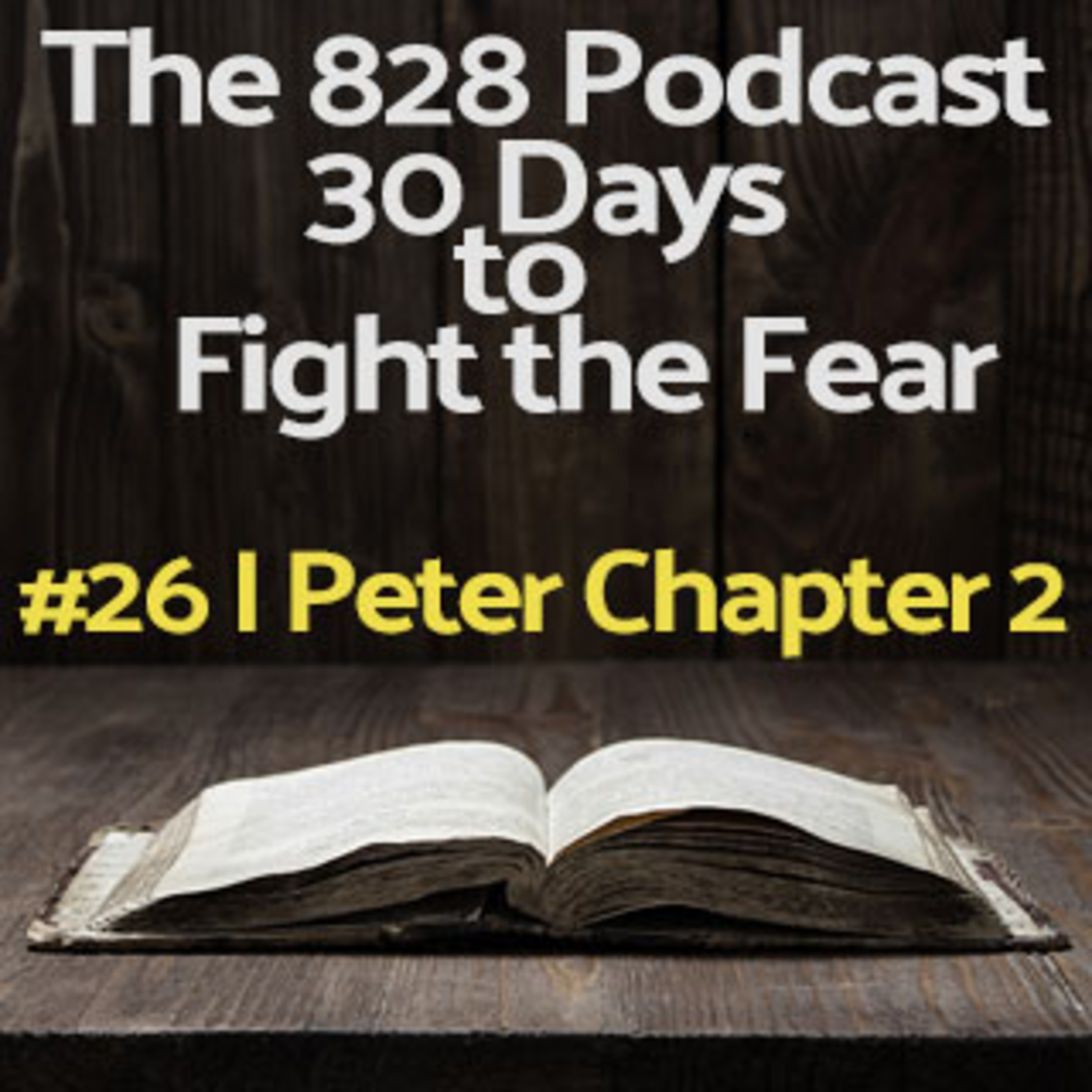 30 Days to Fight the Fear | #26 I Peter Chapter 2 episode artwork