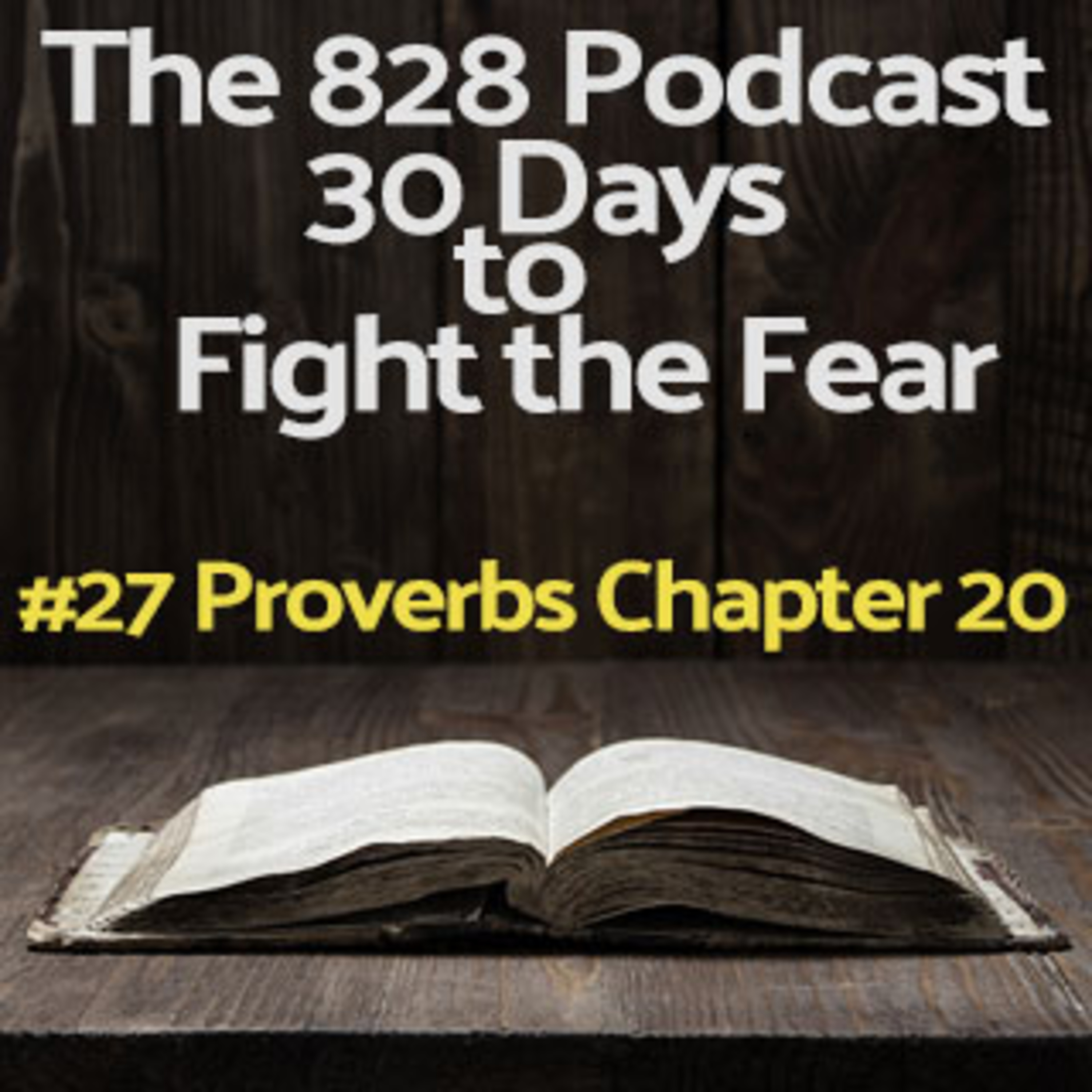 30 Days to Fight the Fear | #27 Proverbs Chapter 20 episode artwork