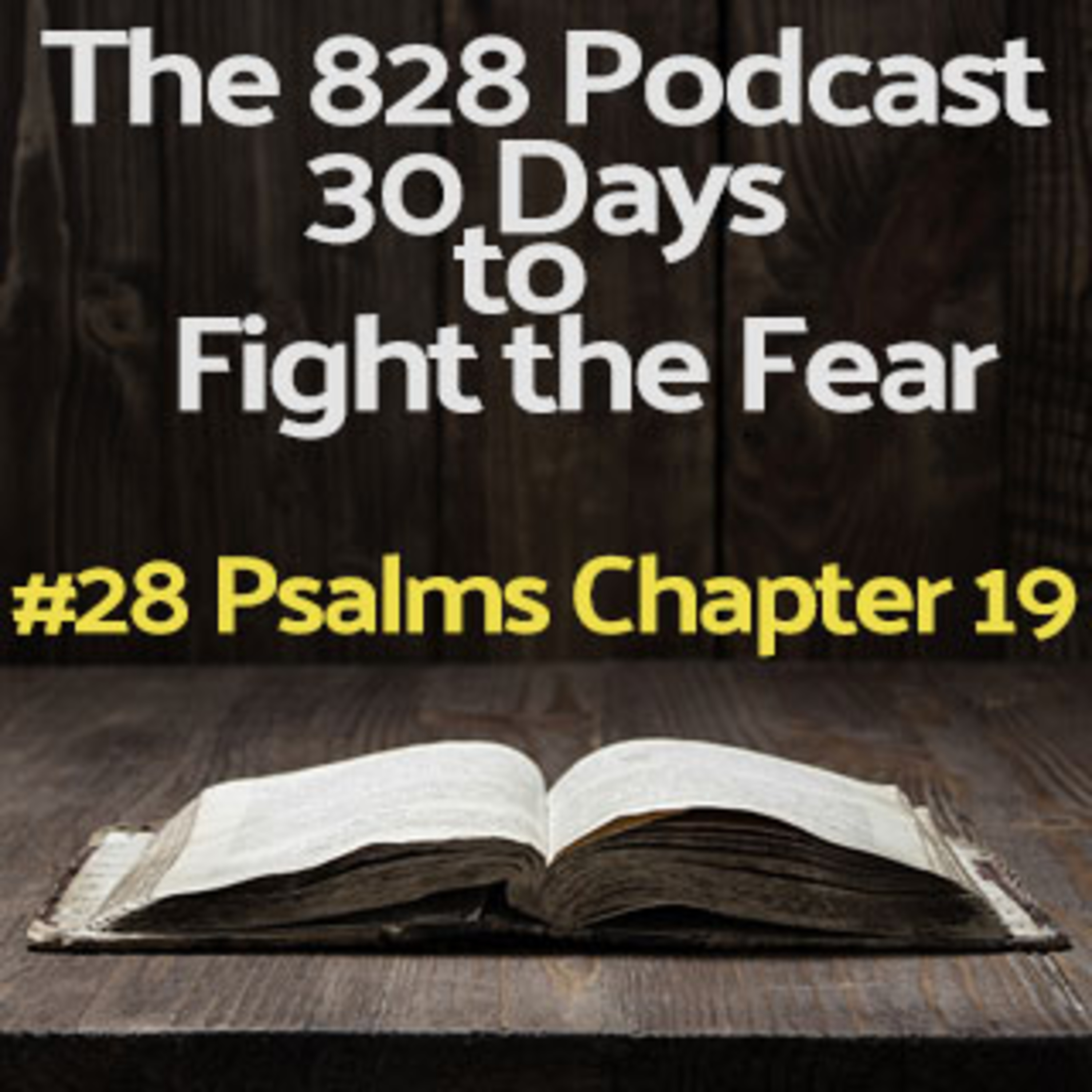 30 Days to Fight the Fear | #28 Psalms Chapter 19 episode artwork