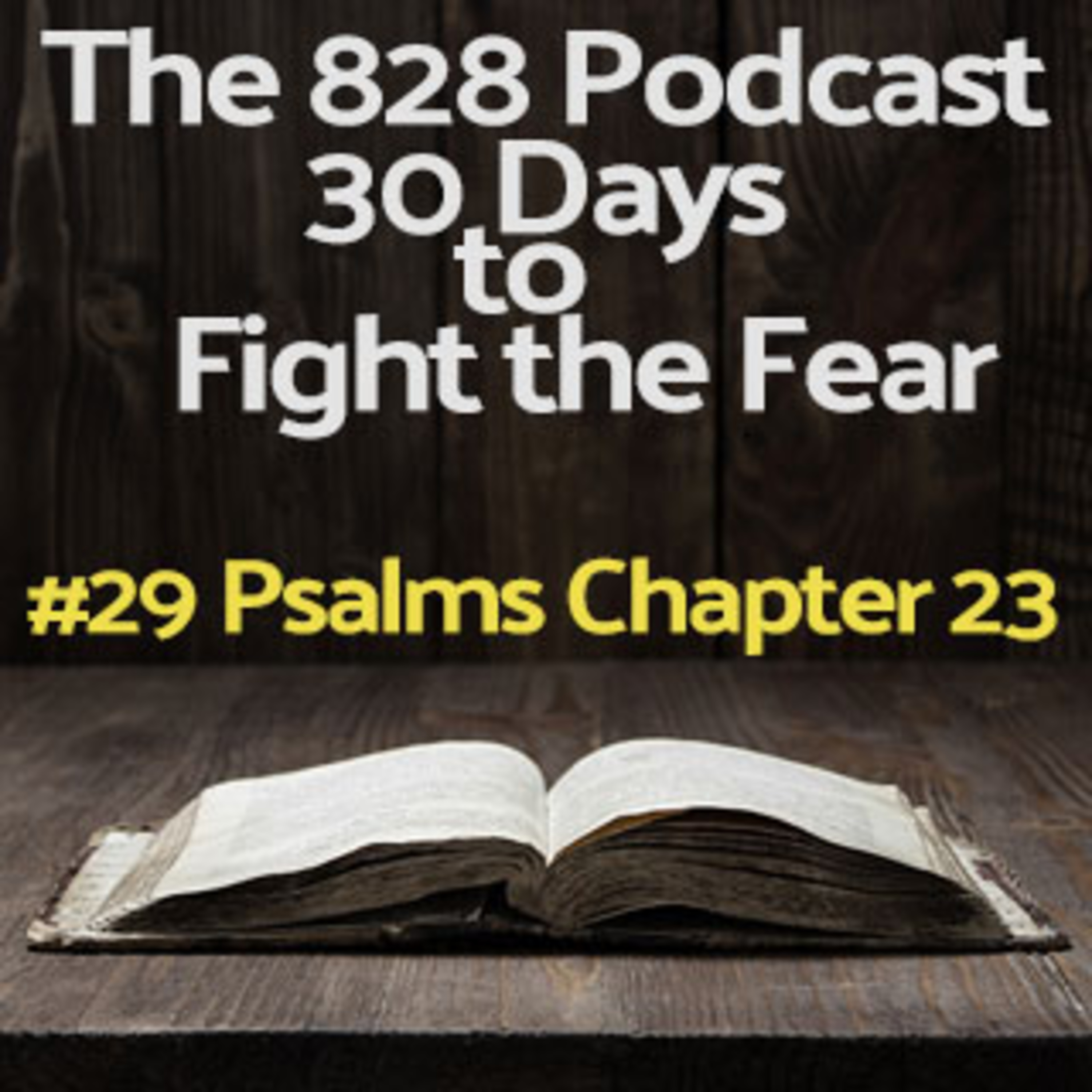30 Days to Fight the Fear | #29 Psalms Chapter 23 episode artwork