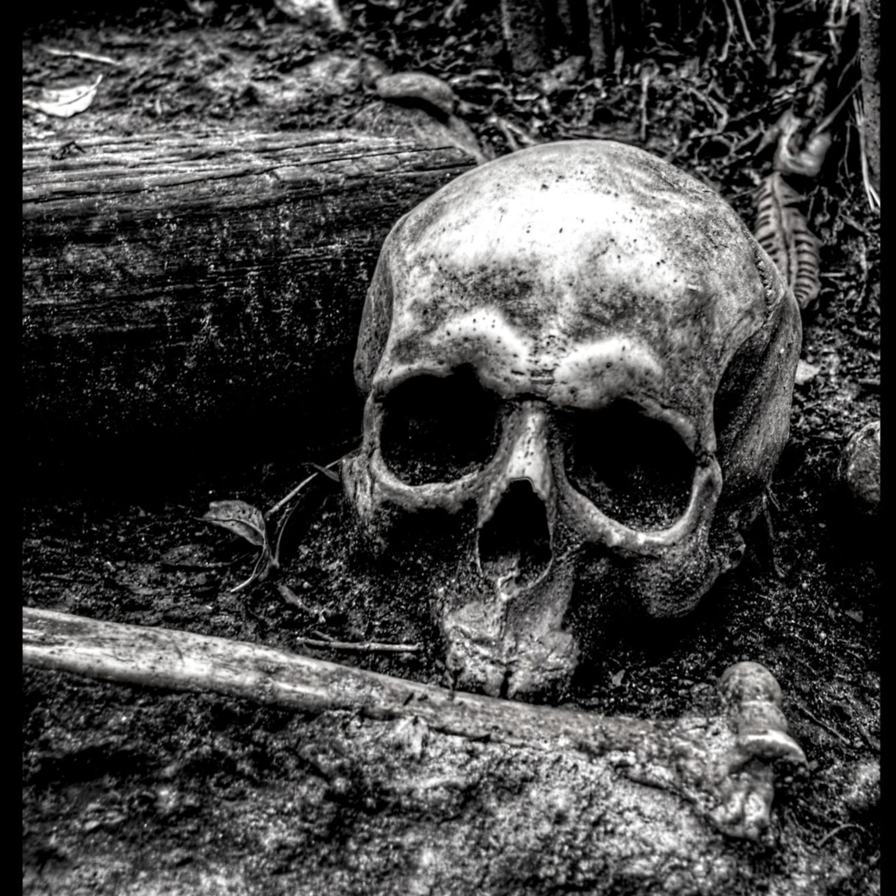 Spooky Stories  episode artwork