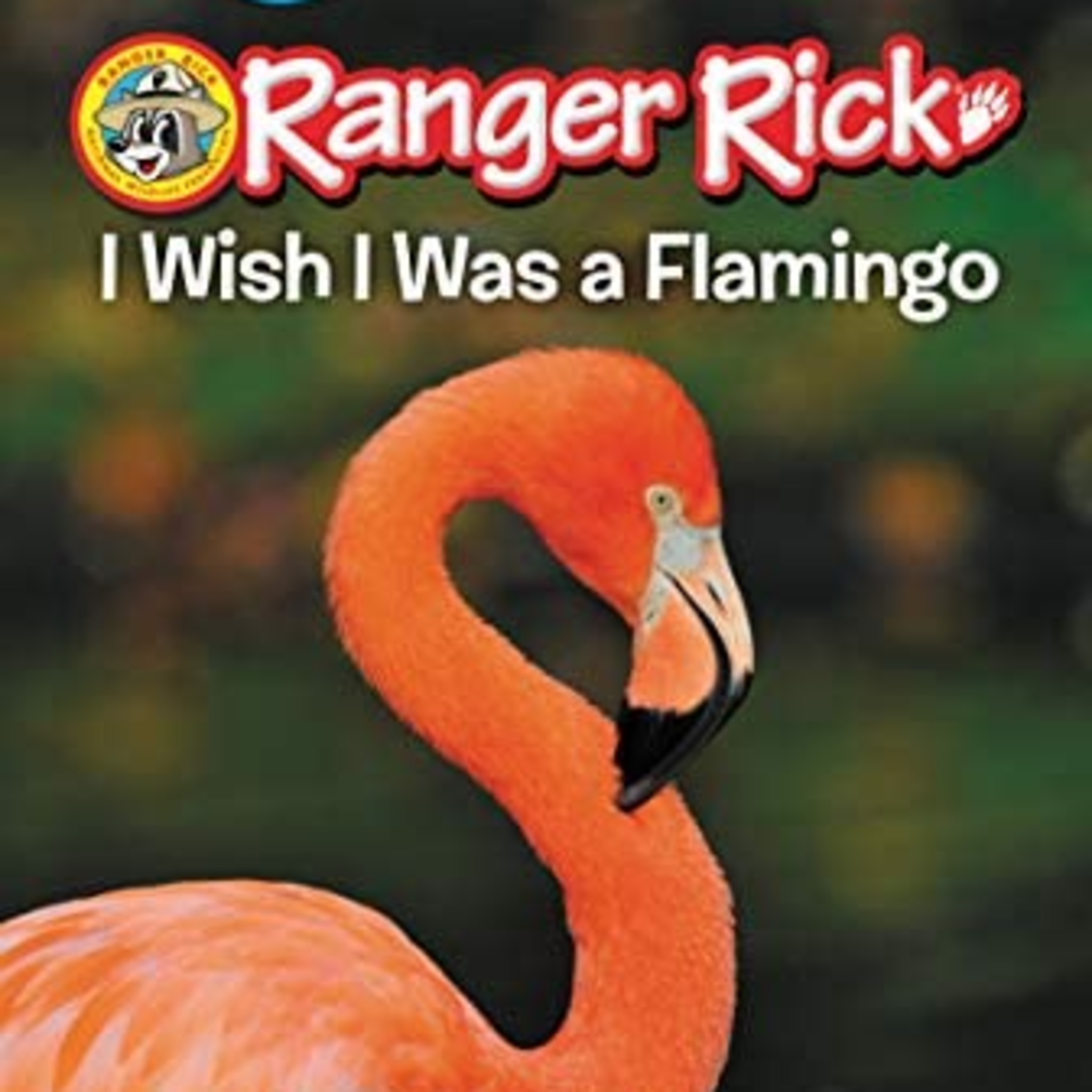 (Ranger Rick) I Wish I Was A Flamingo by Jennifer Bové episode artwork