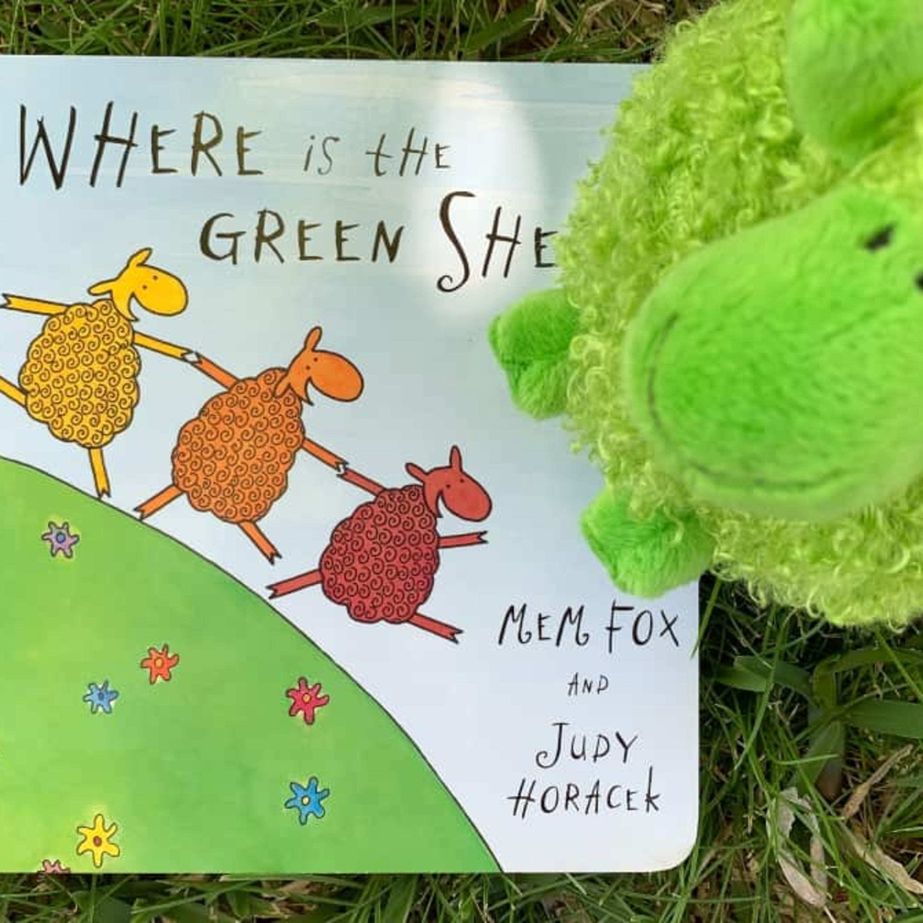 Where Is The Green Sheep? by Mem Fox and Judy Horacek (Illustrator) episode artwork