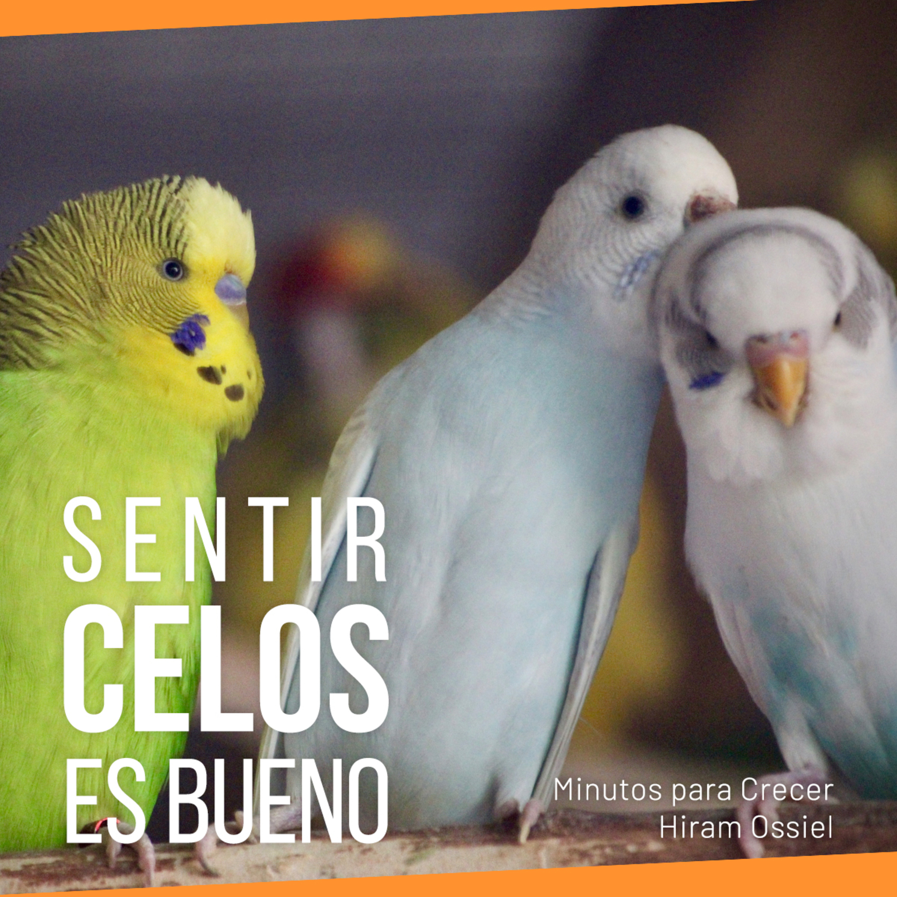 Sentir celos es bueno episode artwork