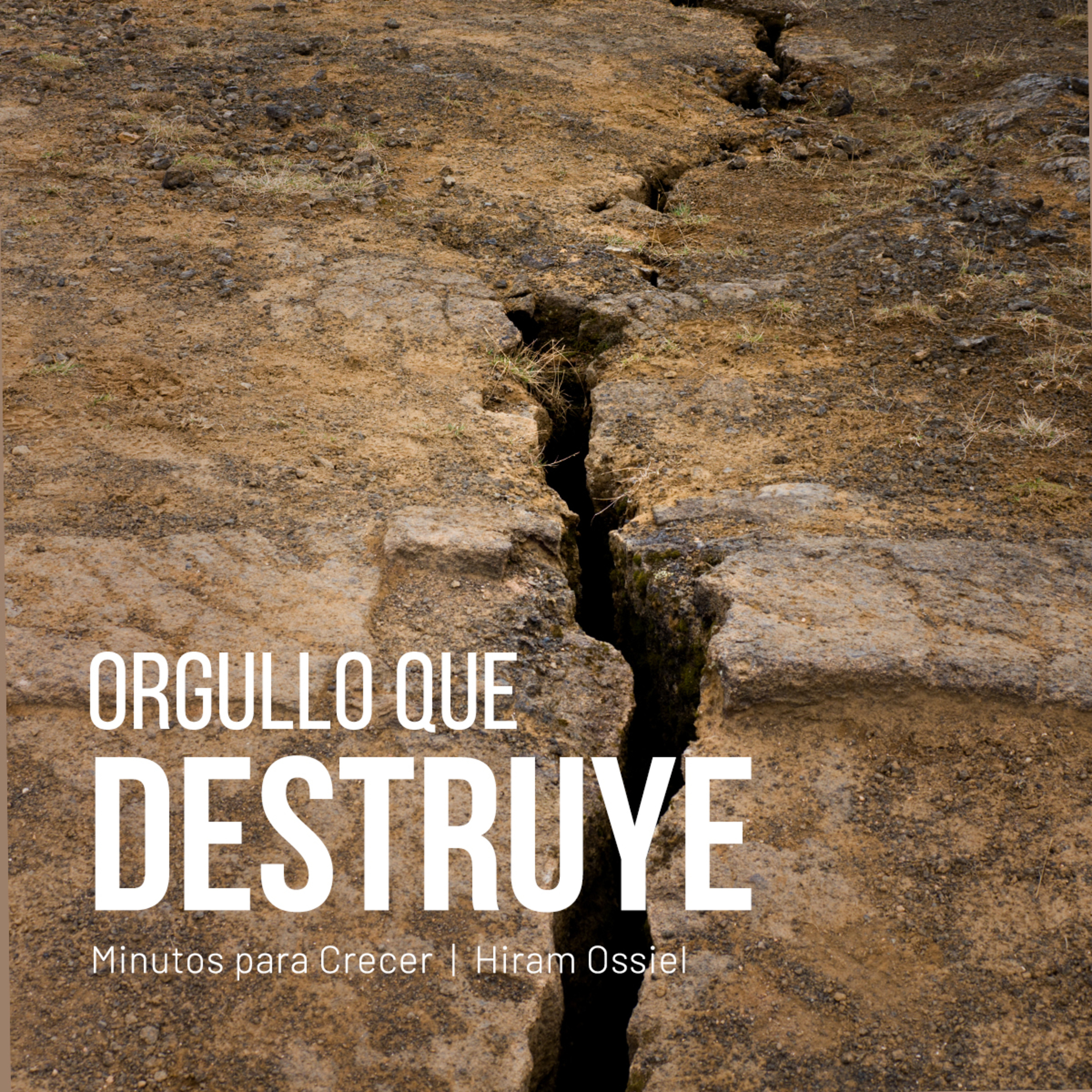 Orgullo que destruye episode artwork