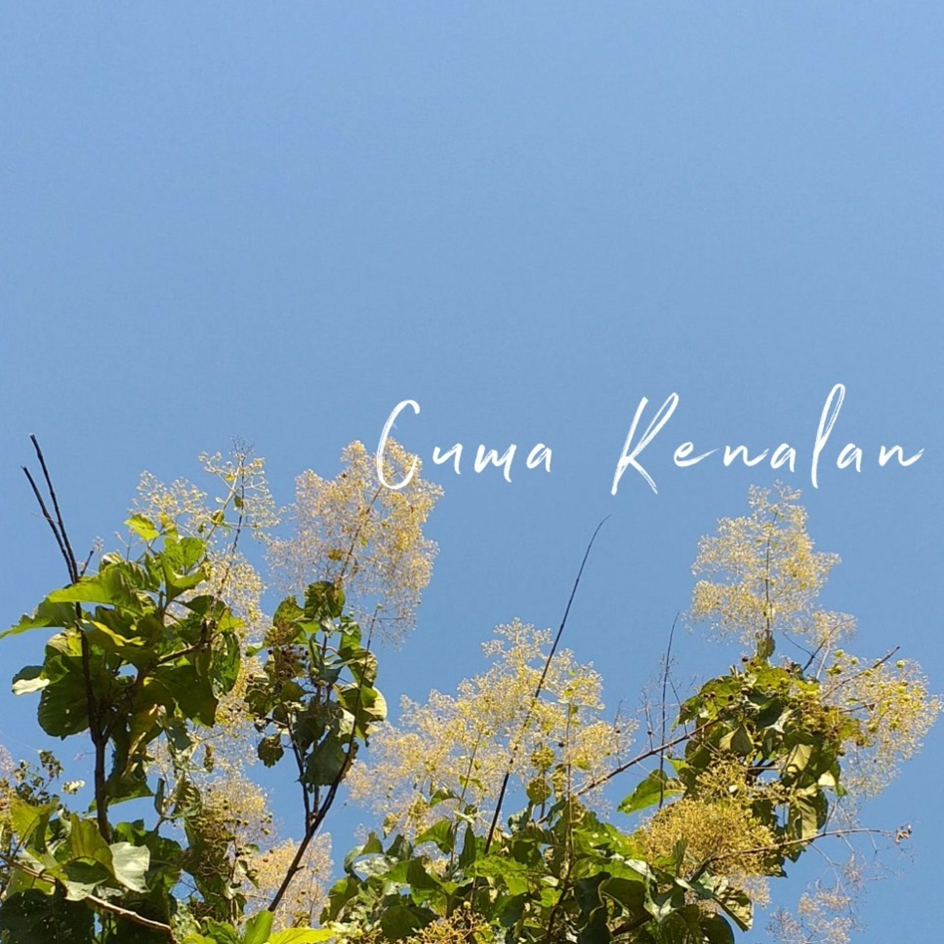 #1 Cuma Kenalan episode artwork
