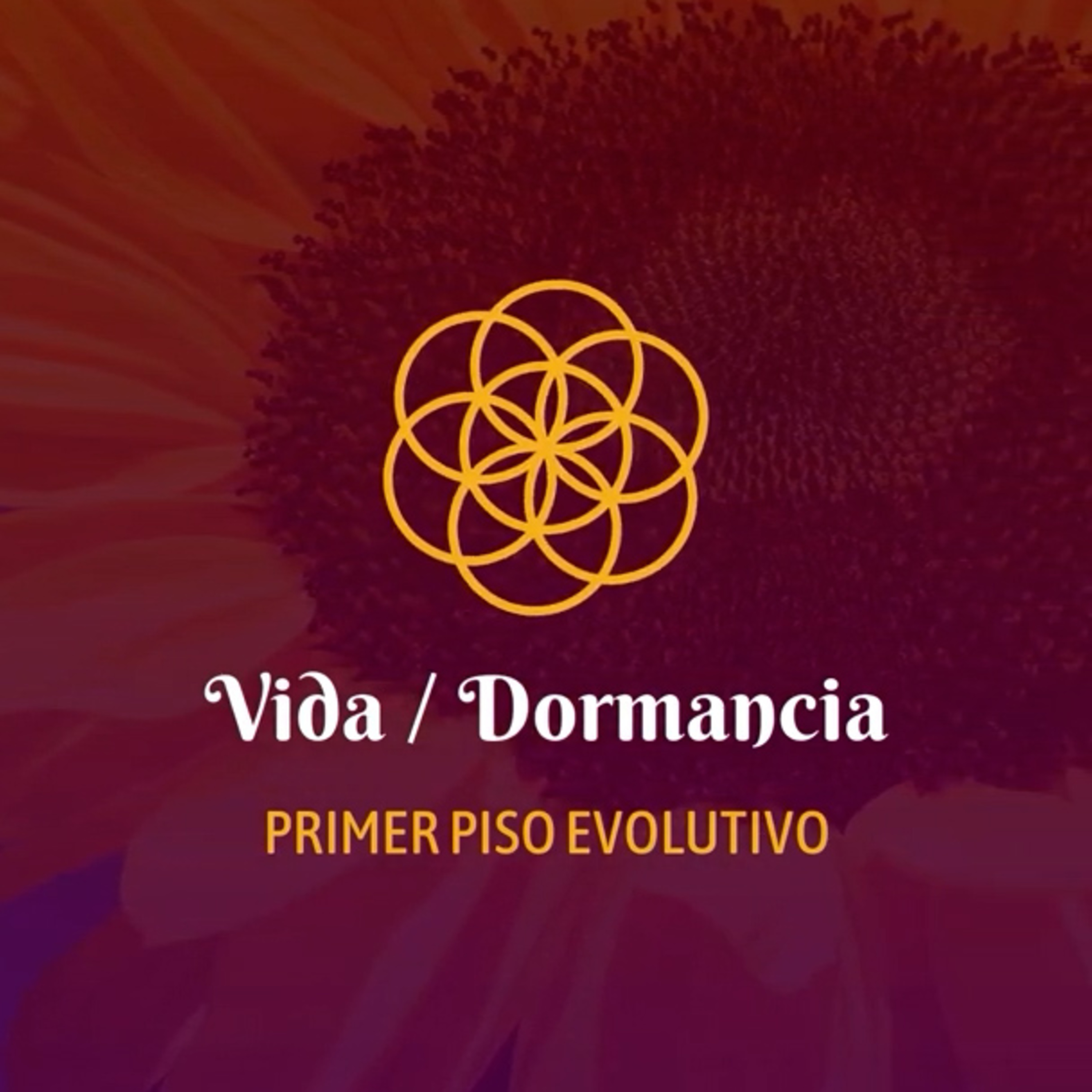 Sofia Knakal - Psicóloga especialista en Huevos Yoni, Cristaloterapia y Terapia Floral.