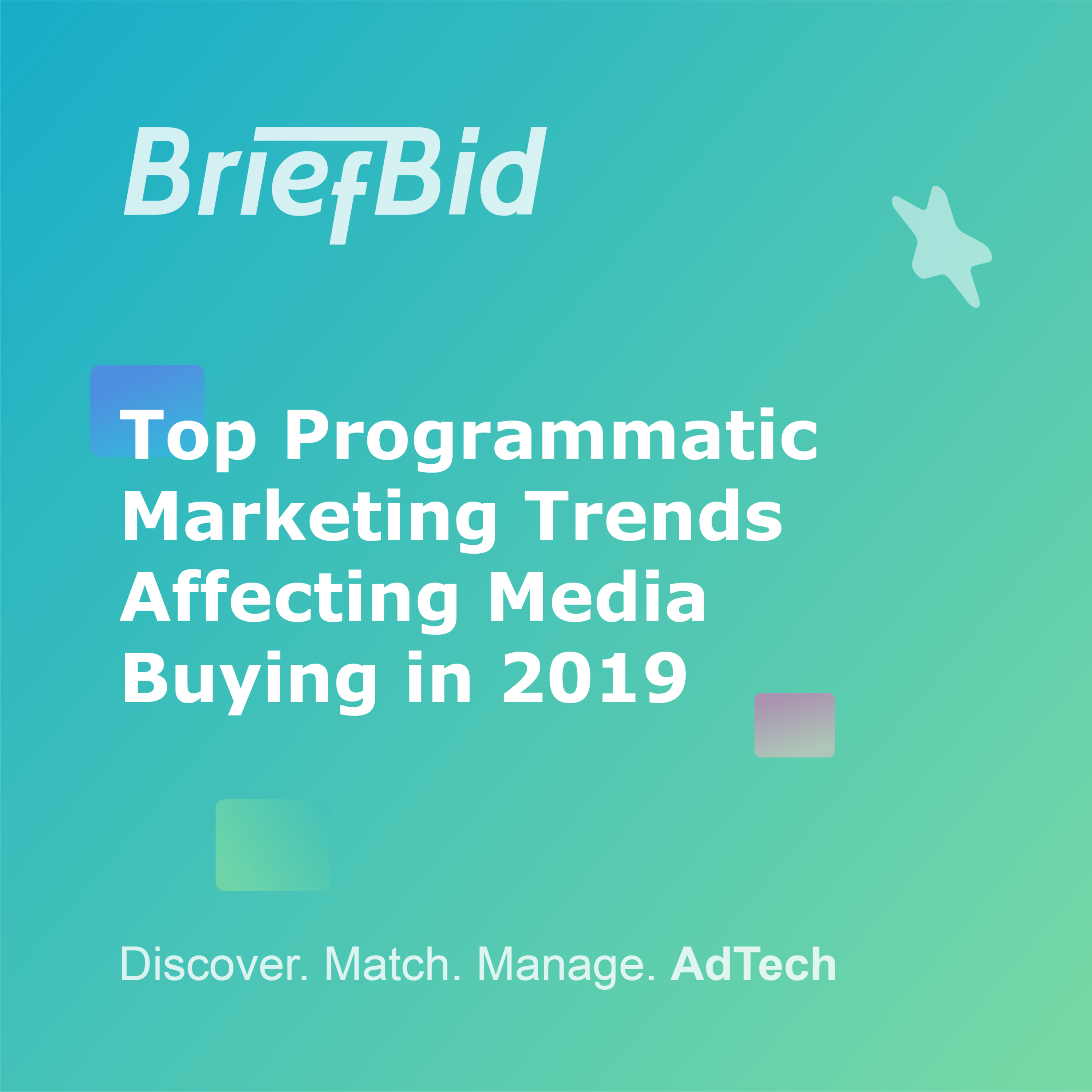 BriefBid