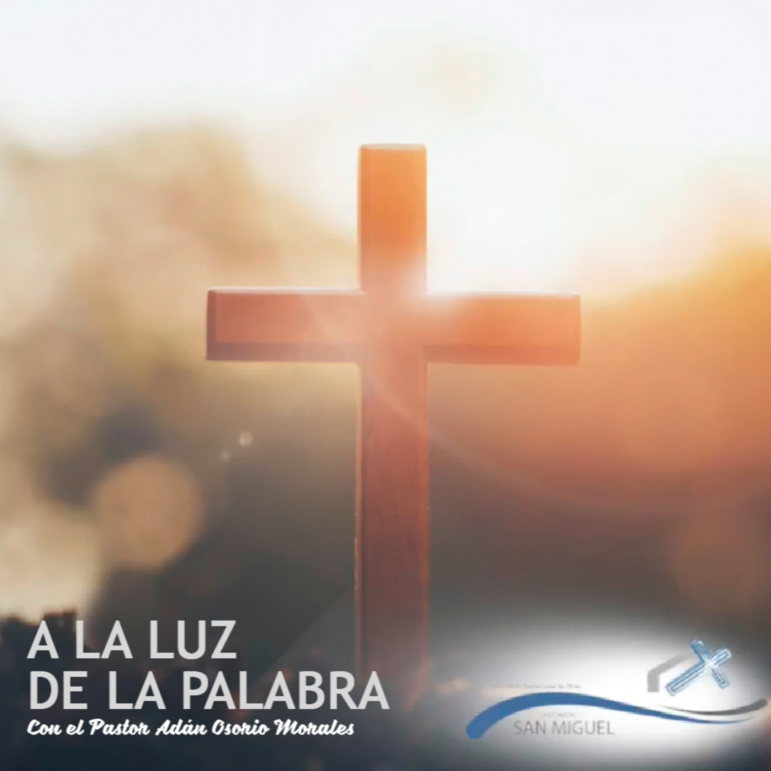 A la Luz de la Palabra