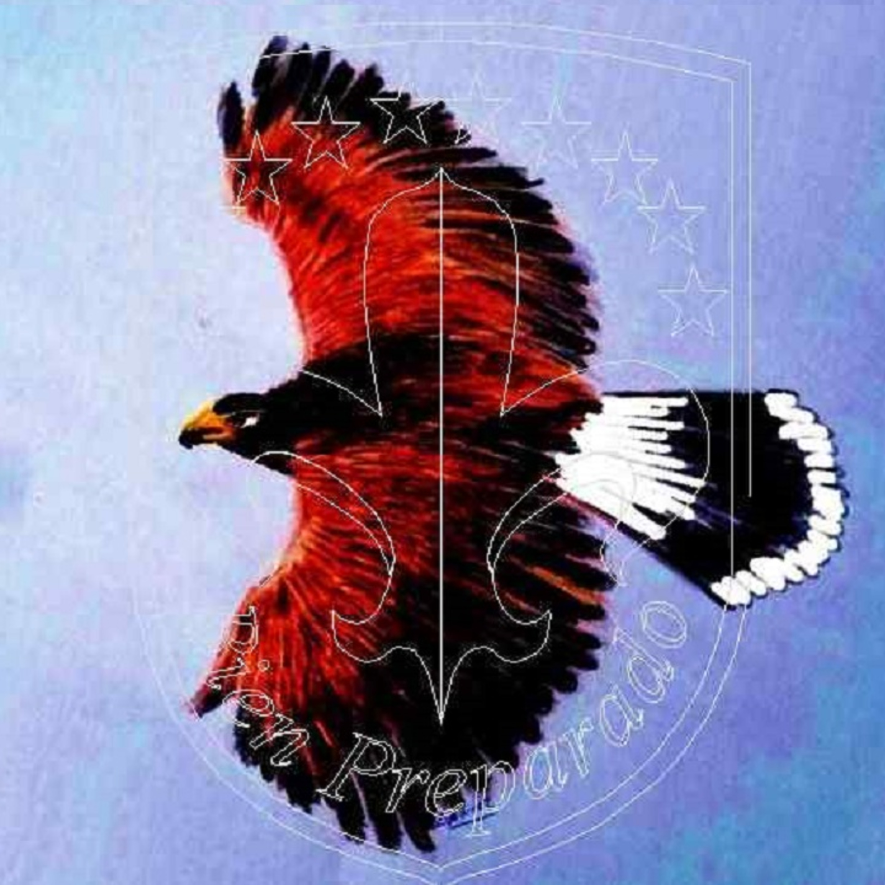 Club de Exploradores