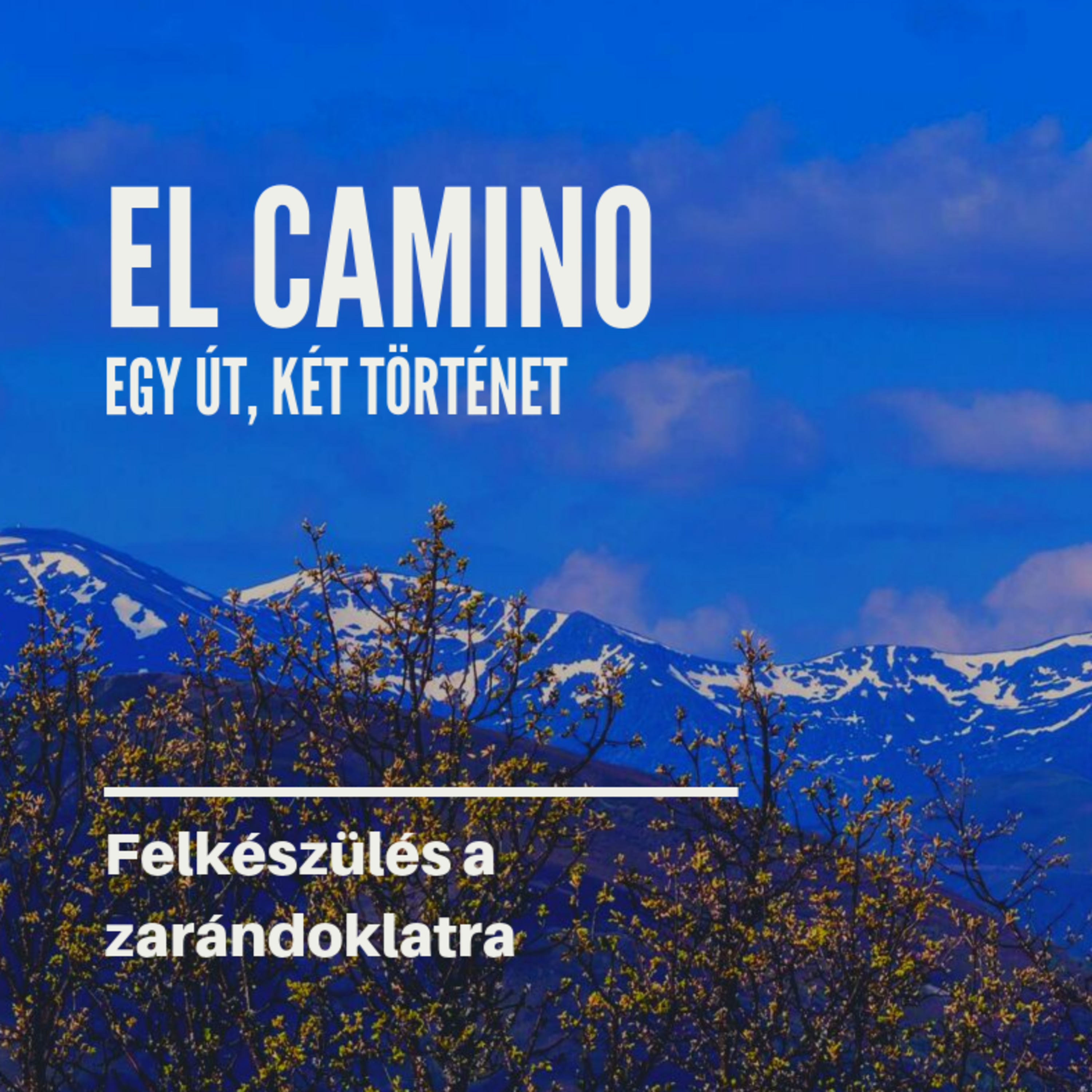 El Camino - Egy út, két történet