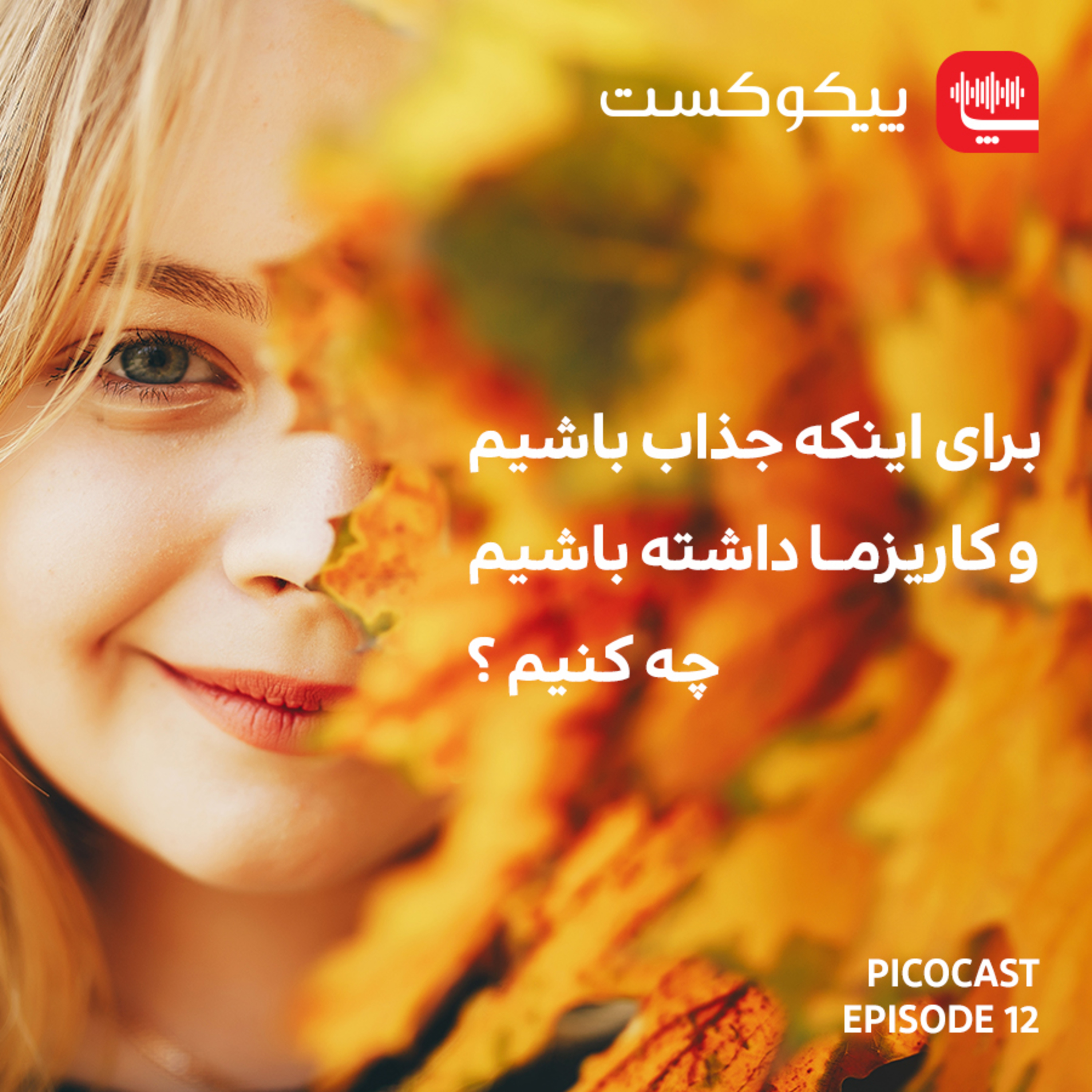پیکوکست Picocast