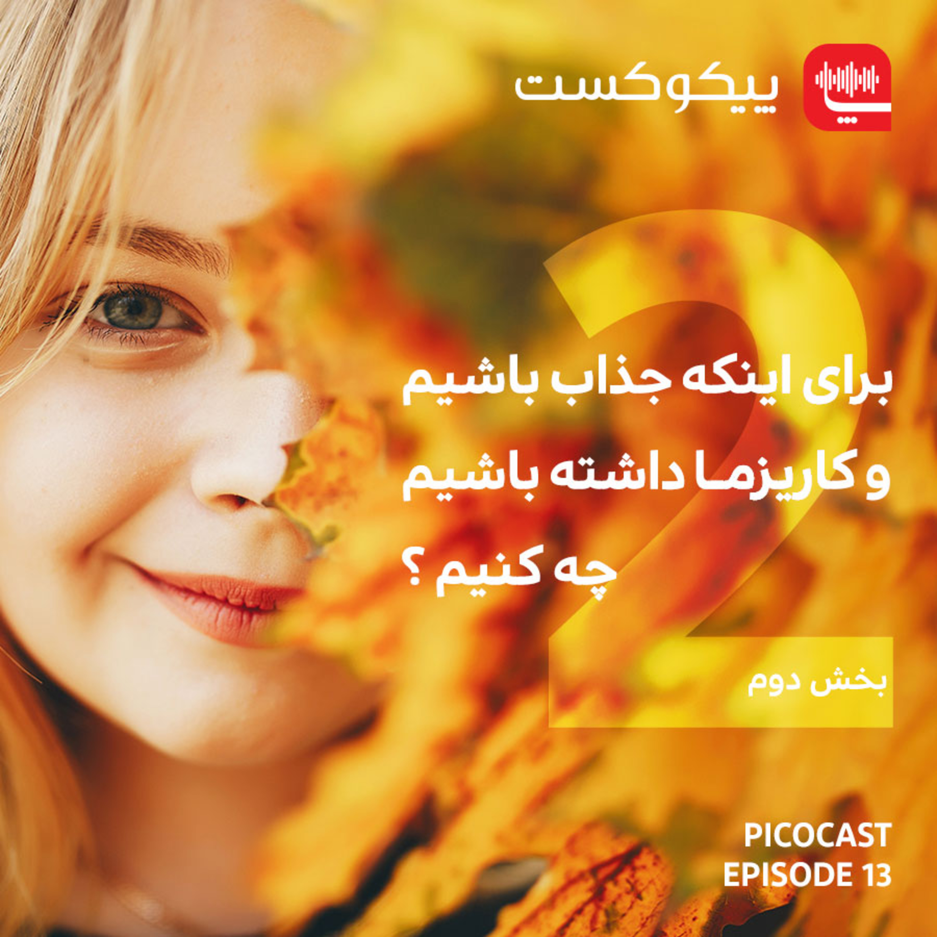 پیکوکست Picocast