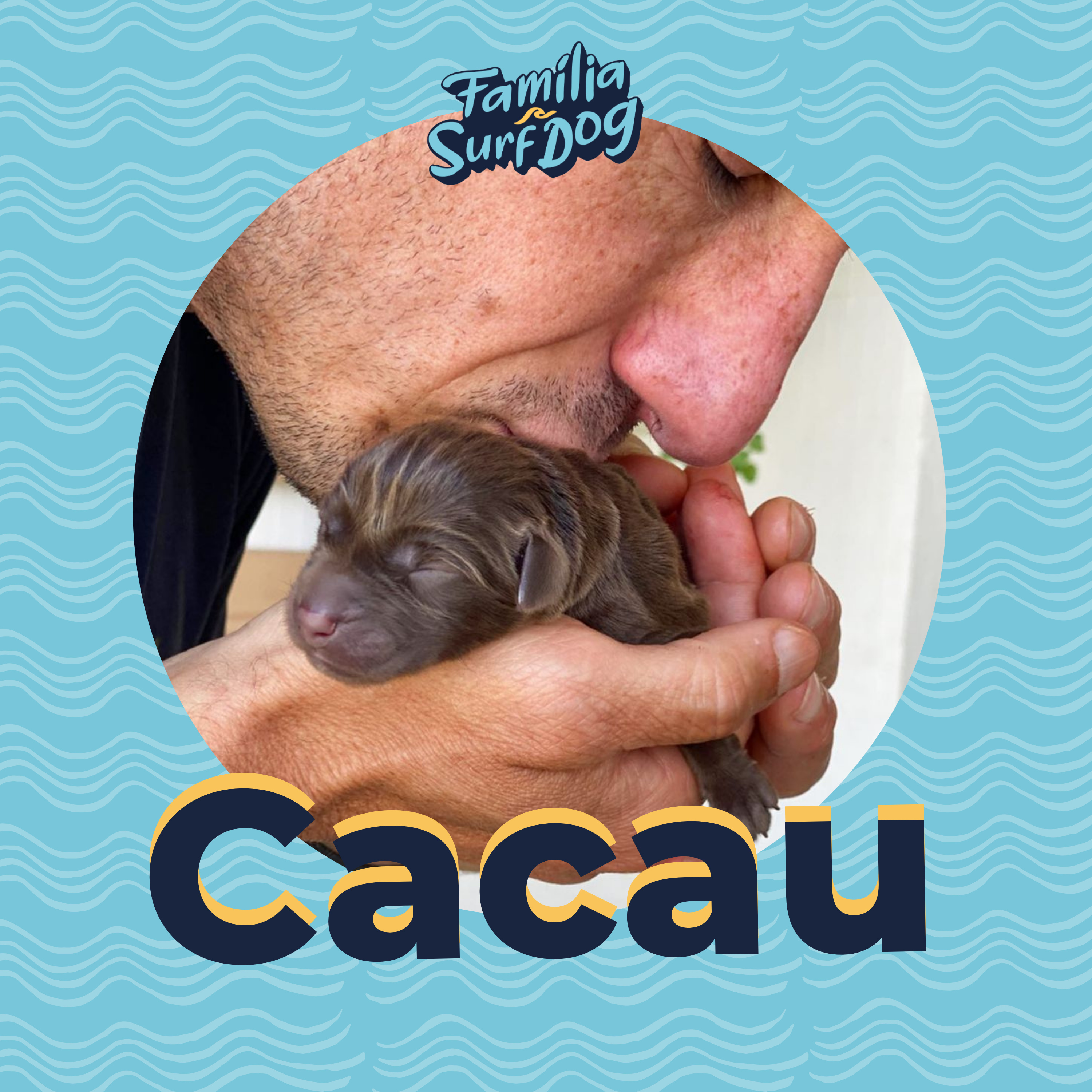 Surf Dog Family Cast