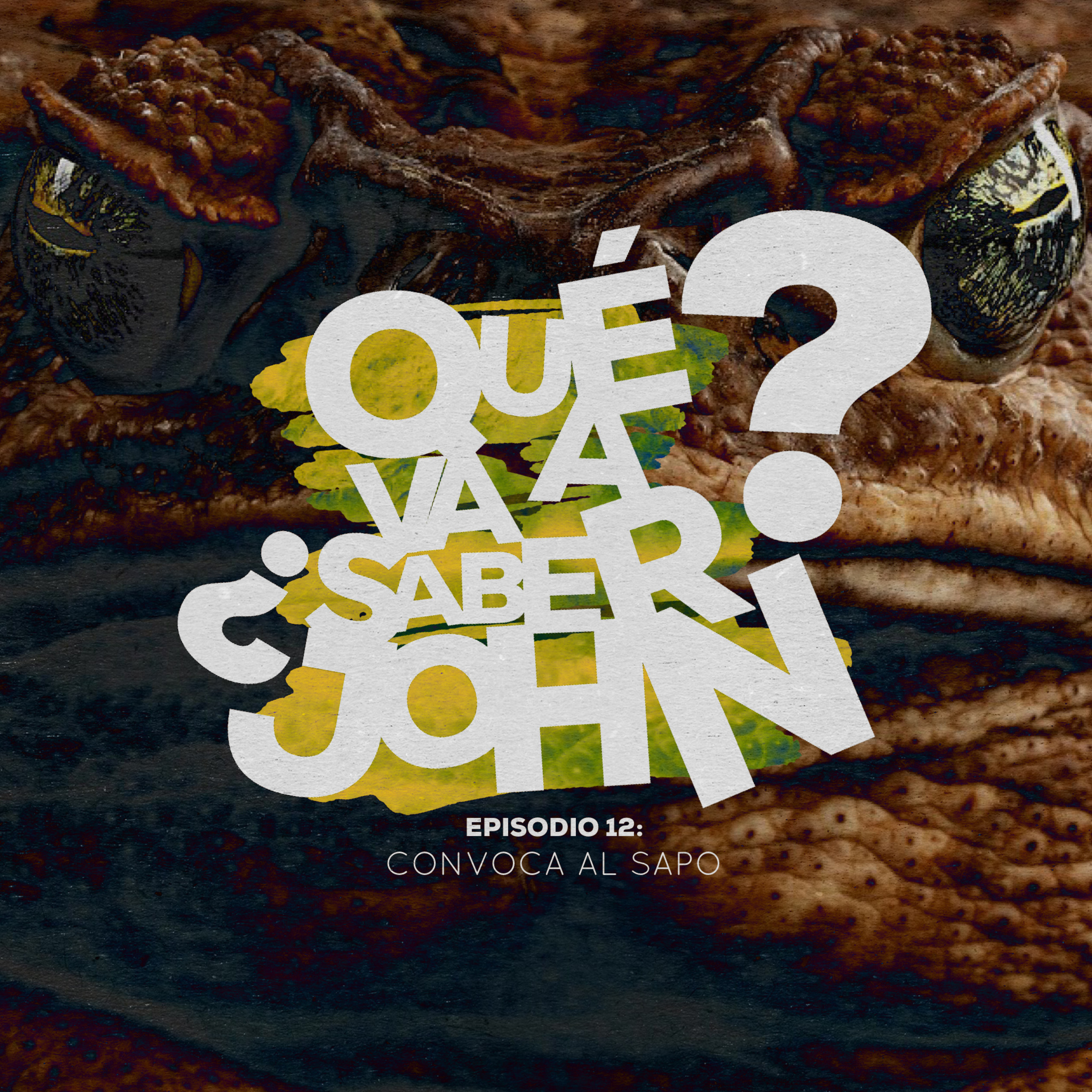 Qué Va a Saber John