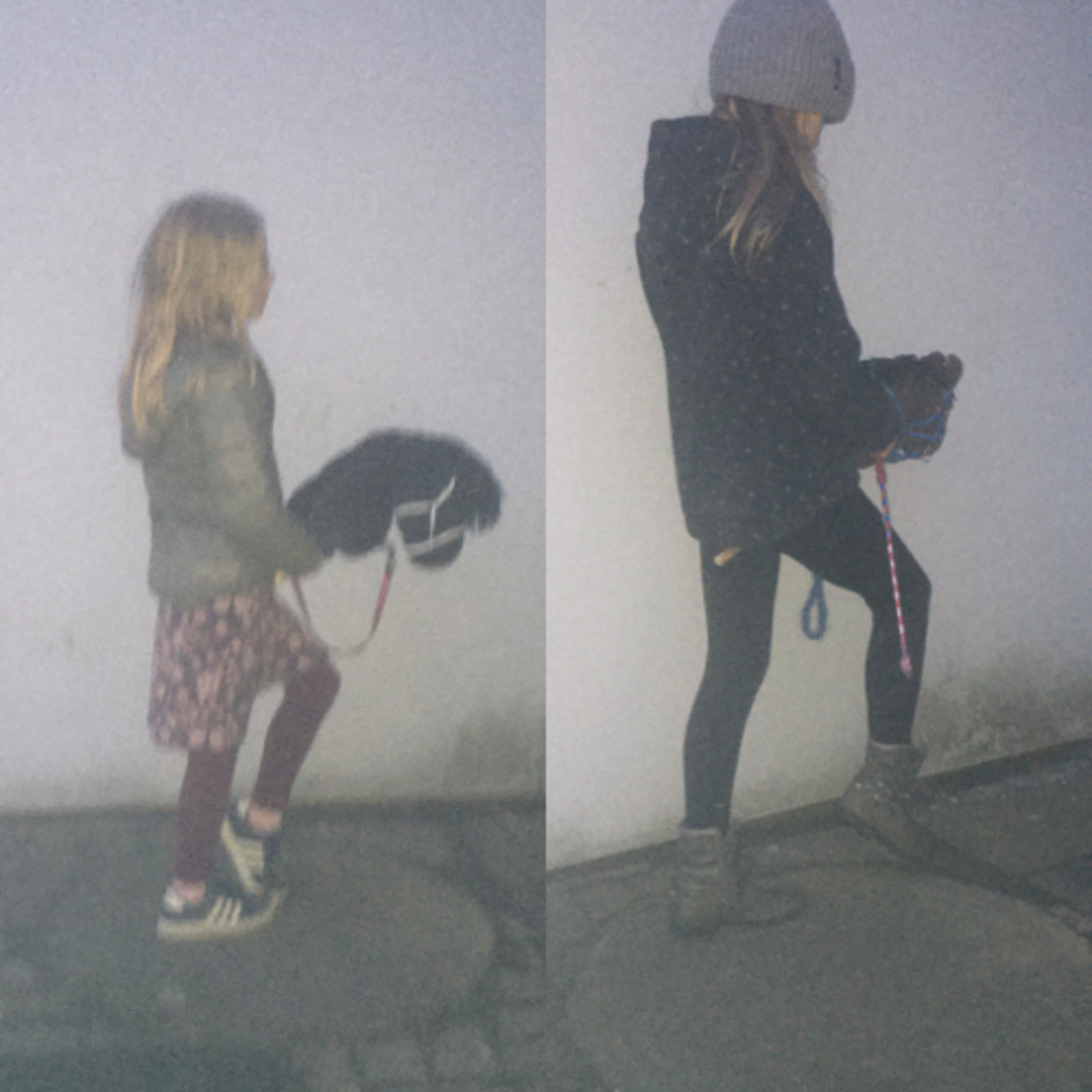 Training mit den Hobby Horse  episode artwork
