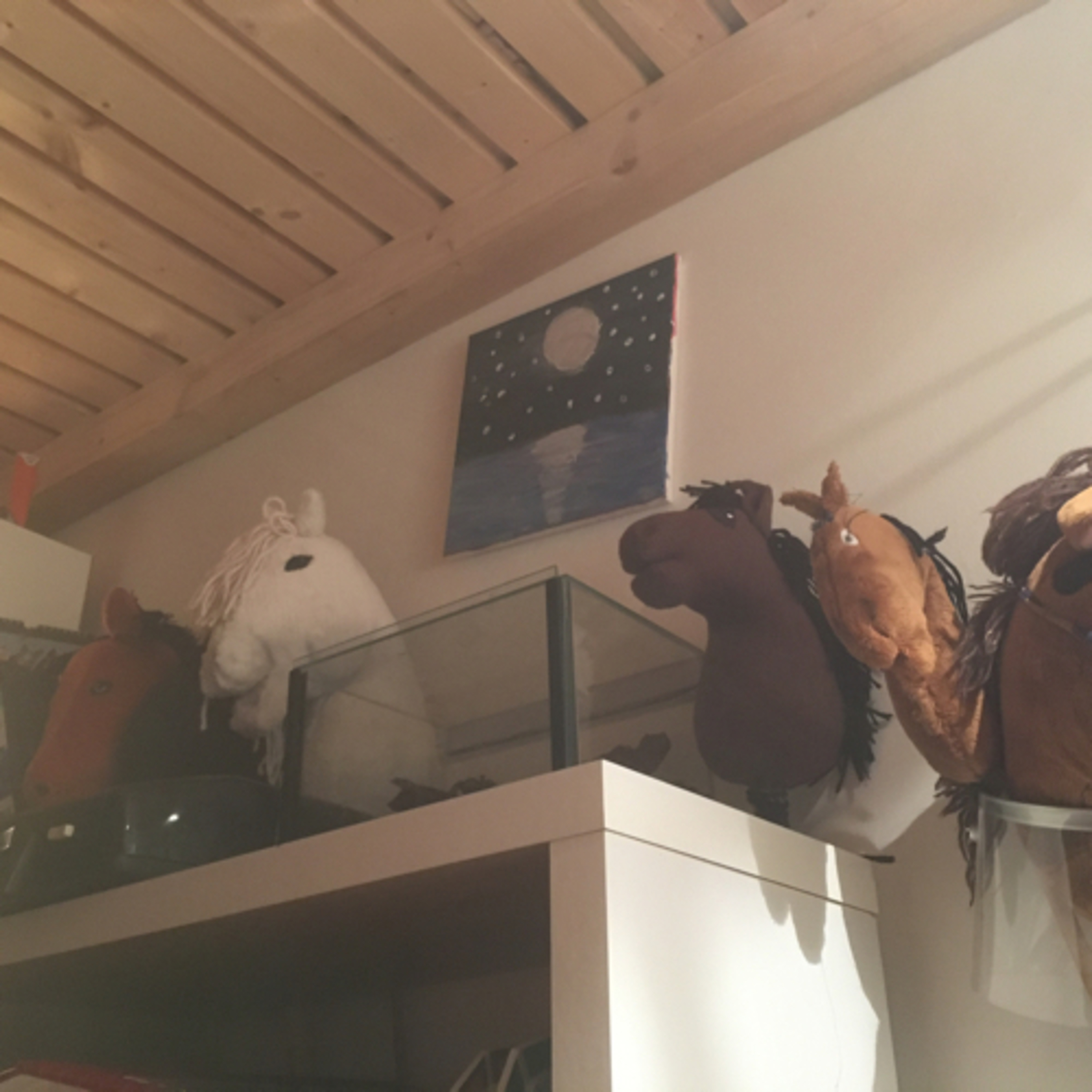  Hobby Horse + Zubehör vorstellen  episode artwork