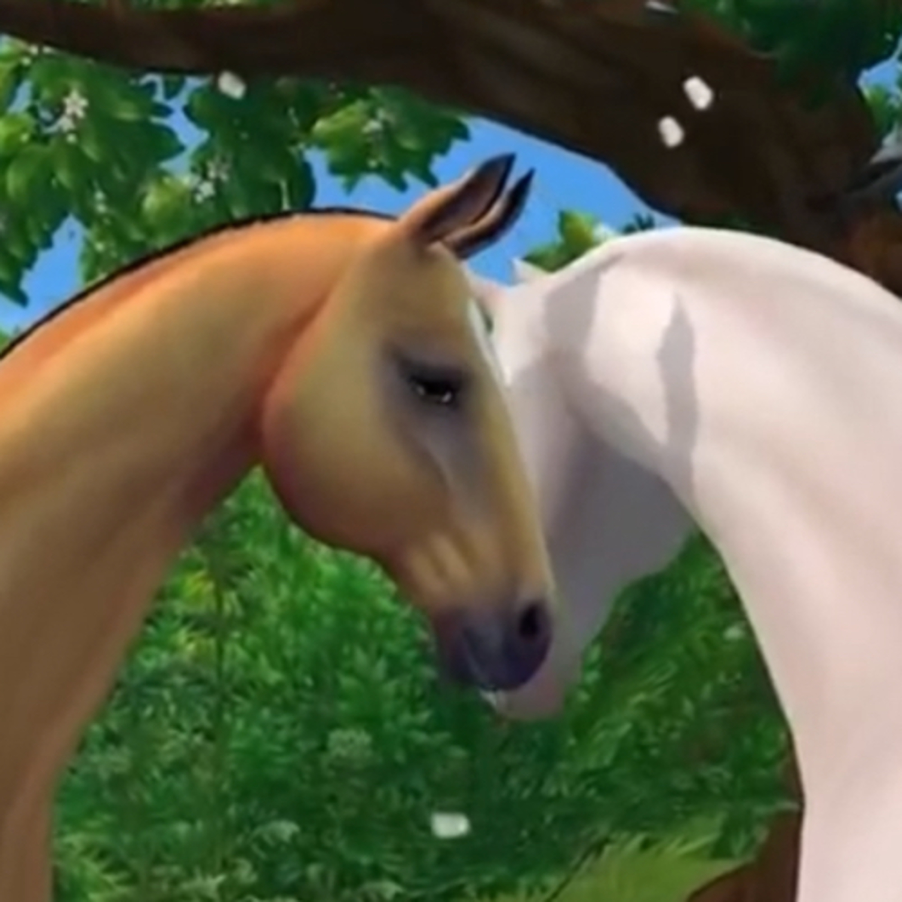 Zwei Bewertungen vorlesen episode artwork