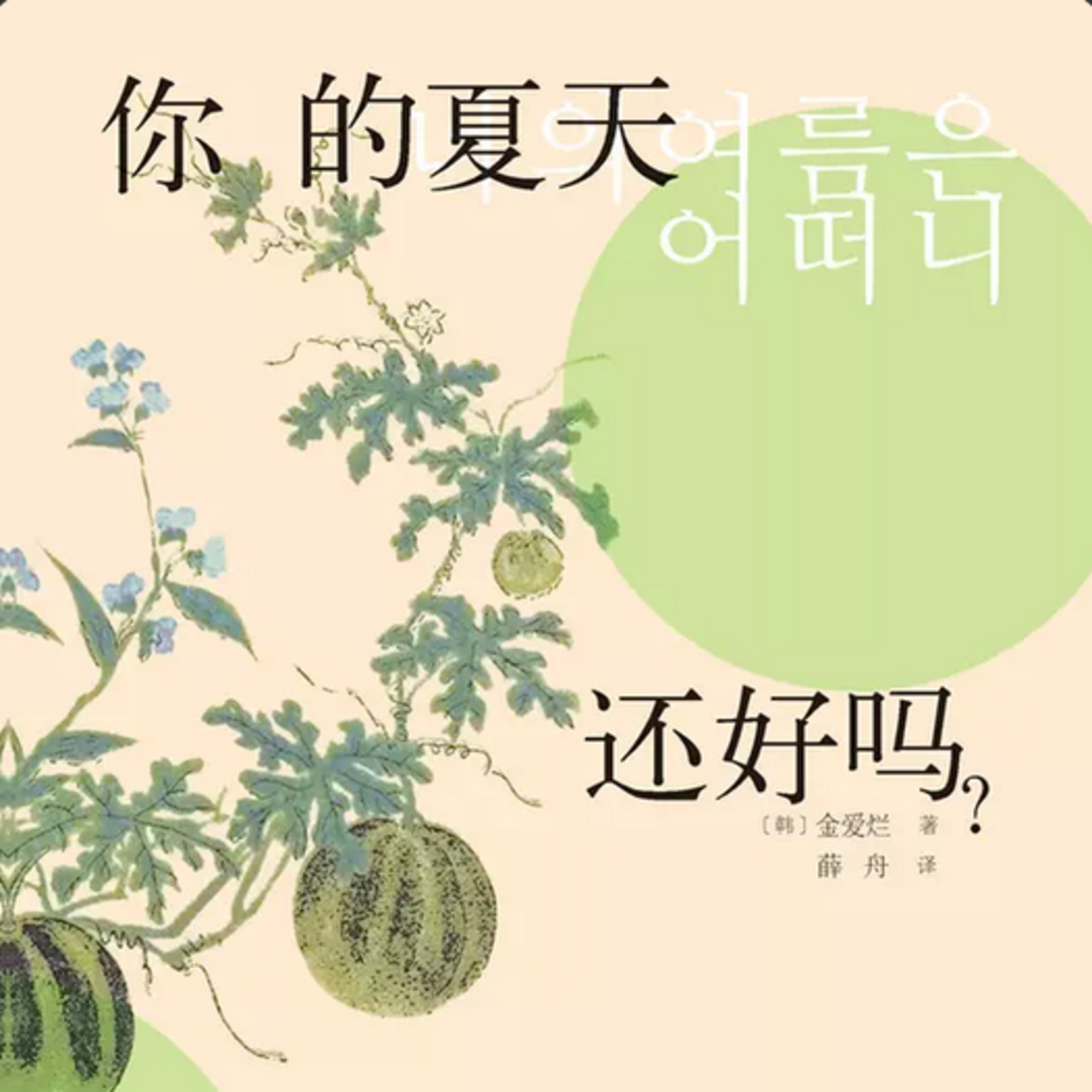 第94本书：金爱烂与《你的夏天还好吗？》 episode artwork