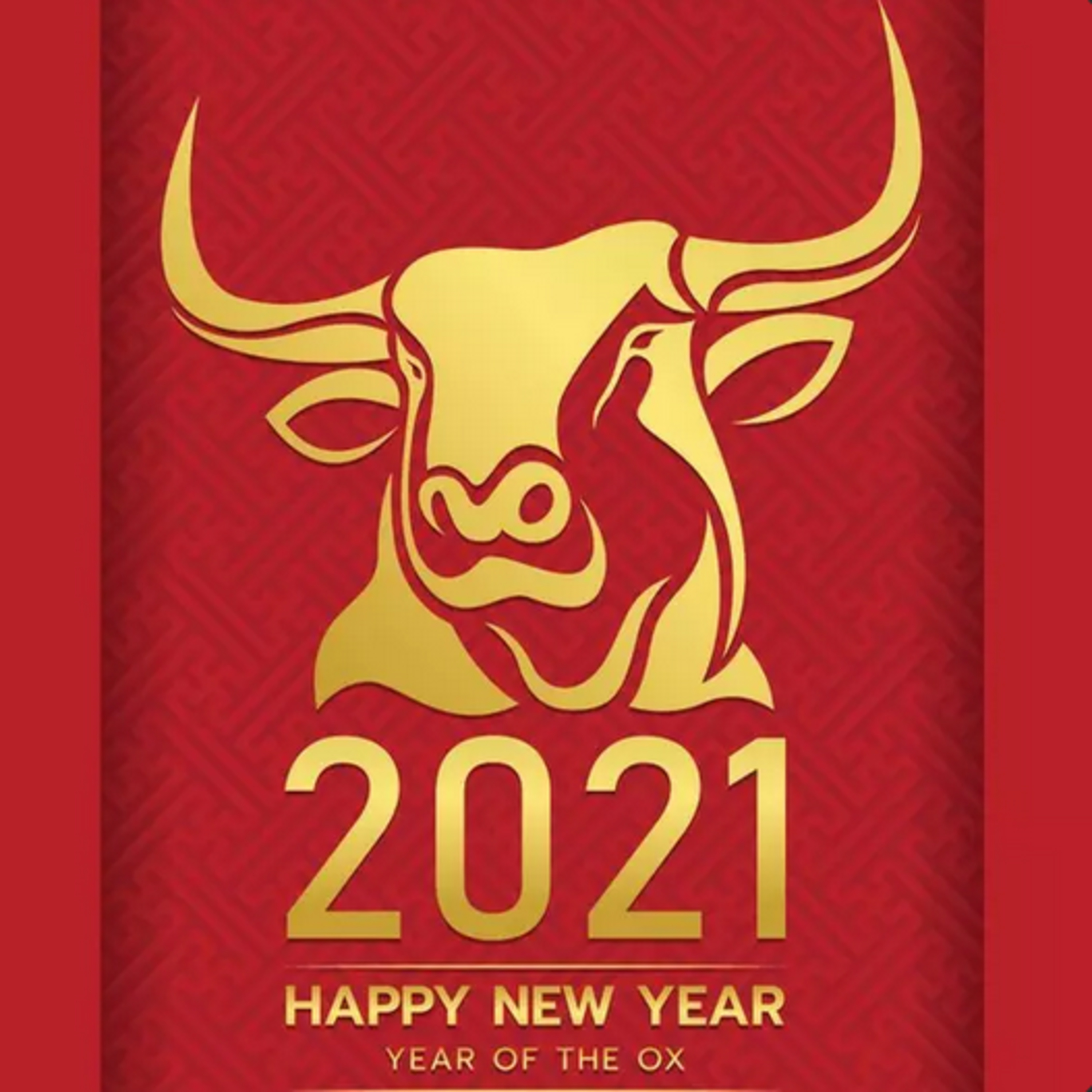 第67个故事：Happy牛year！珊越春晚陪您过大年！ episode artwork