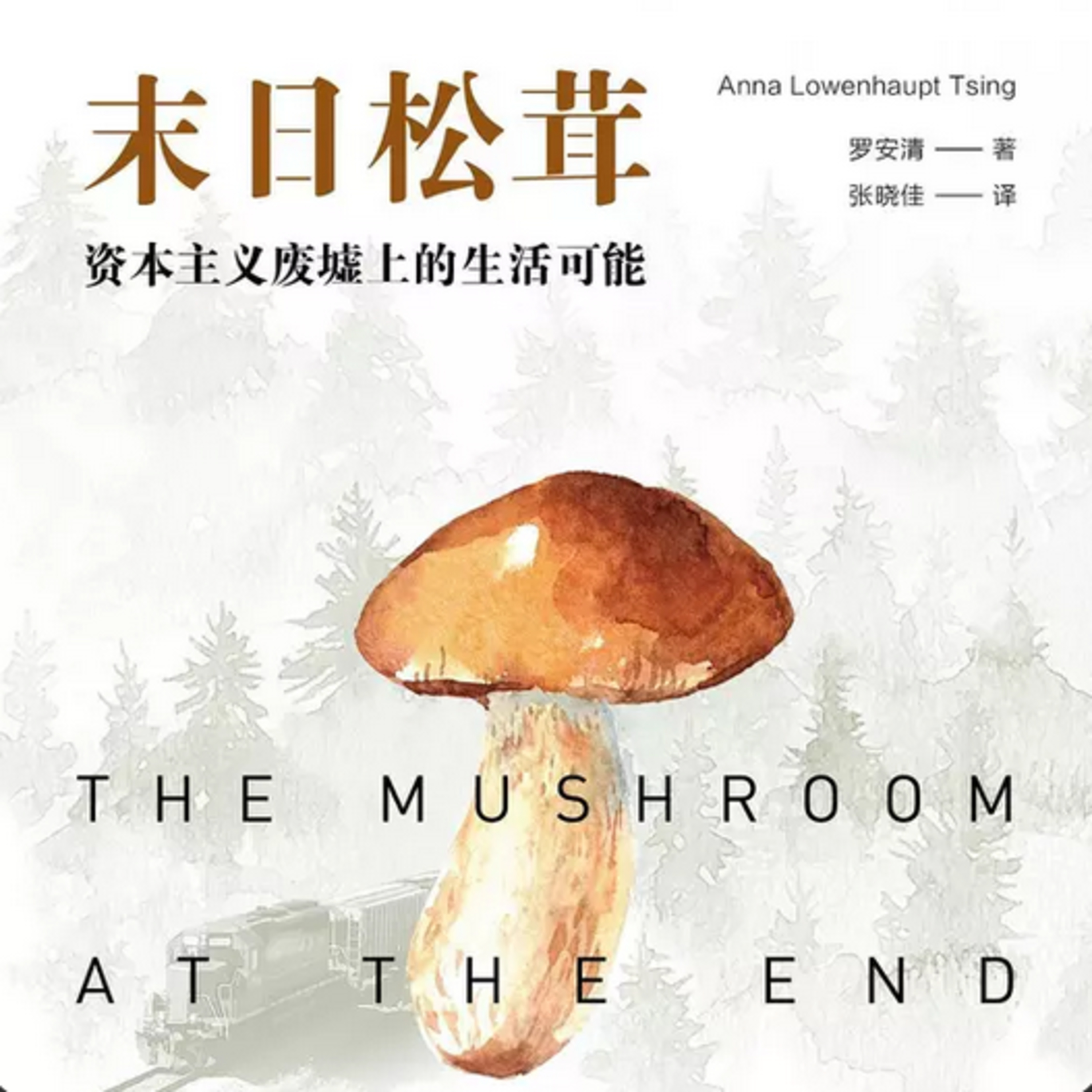 第104本书：罗安清与《末日松茸：资本主义废墟上的生活可能》 episode artwork