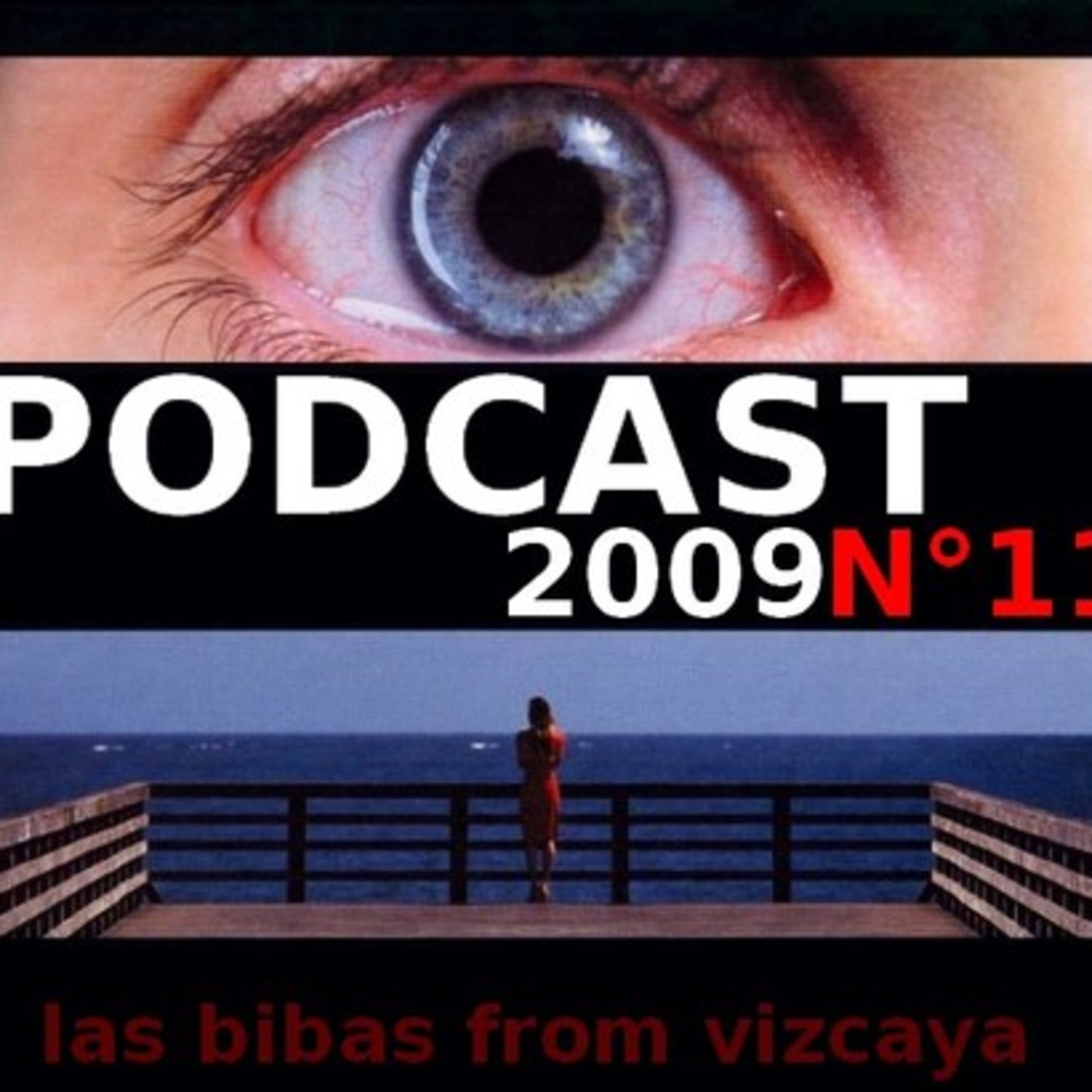PODCAST 11 (2009) episode artwork