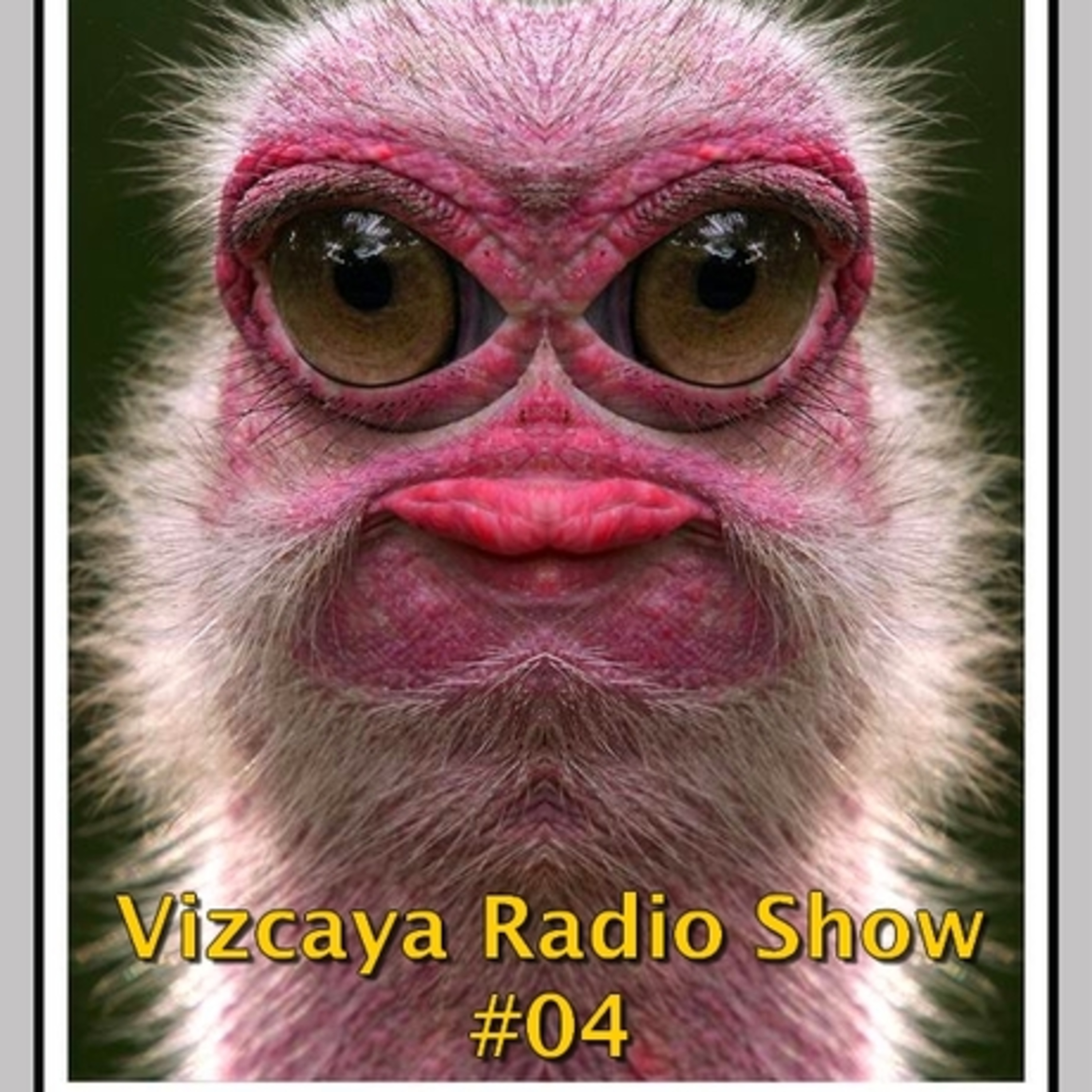 PODCAST 04 (2010)