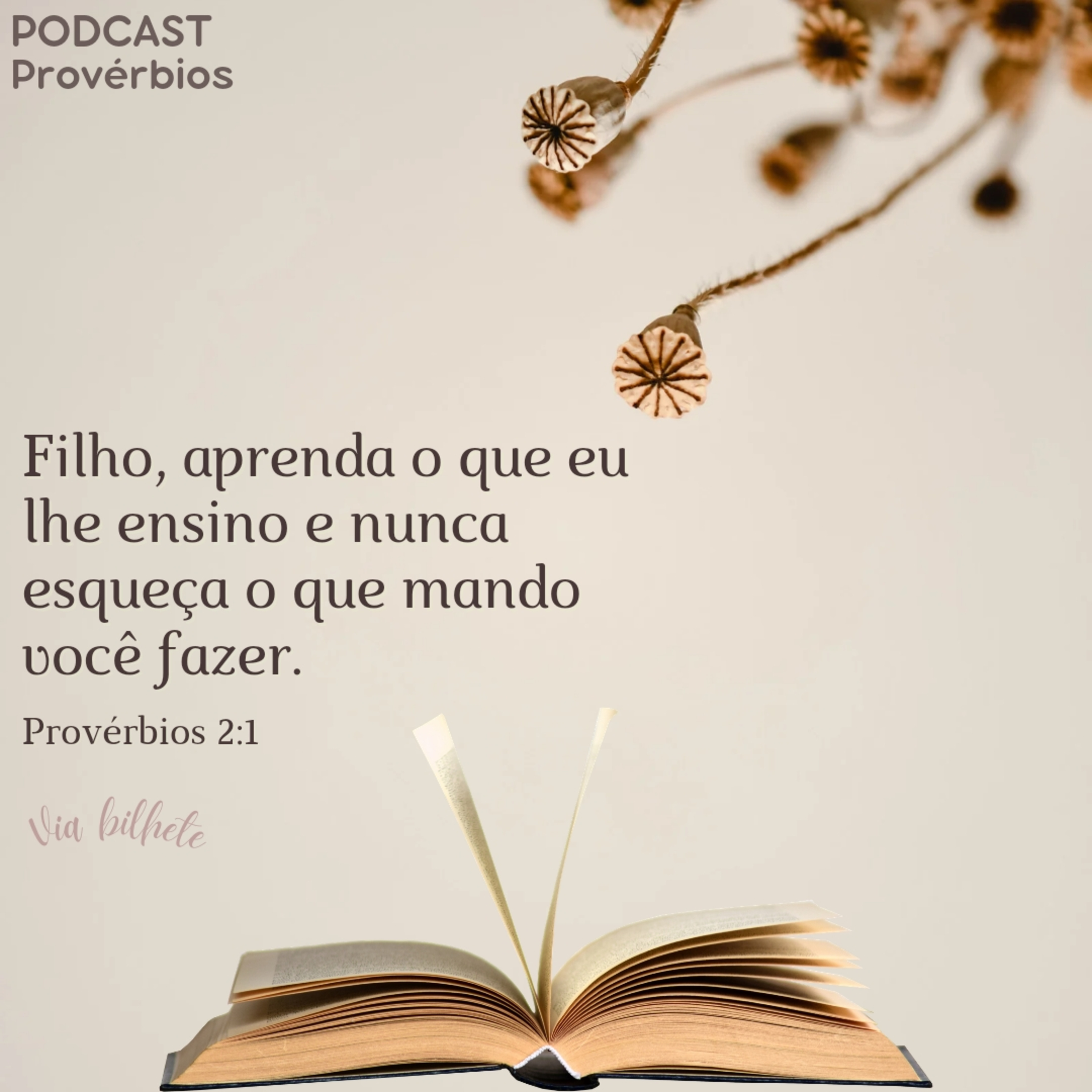 Como podemos ter a sabedoria? (Provérbios 2) episode artwork