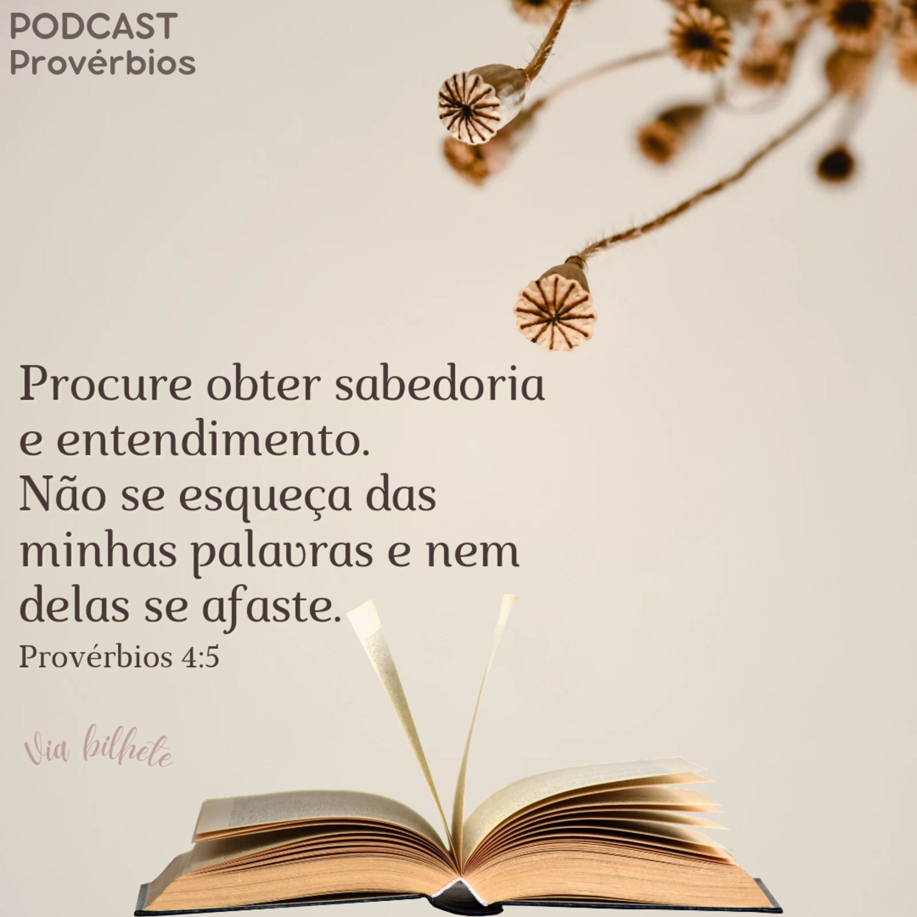 Guarde em seu coração a sabedoria para não pecar contra Deus (Provérbios 4) episode artwork