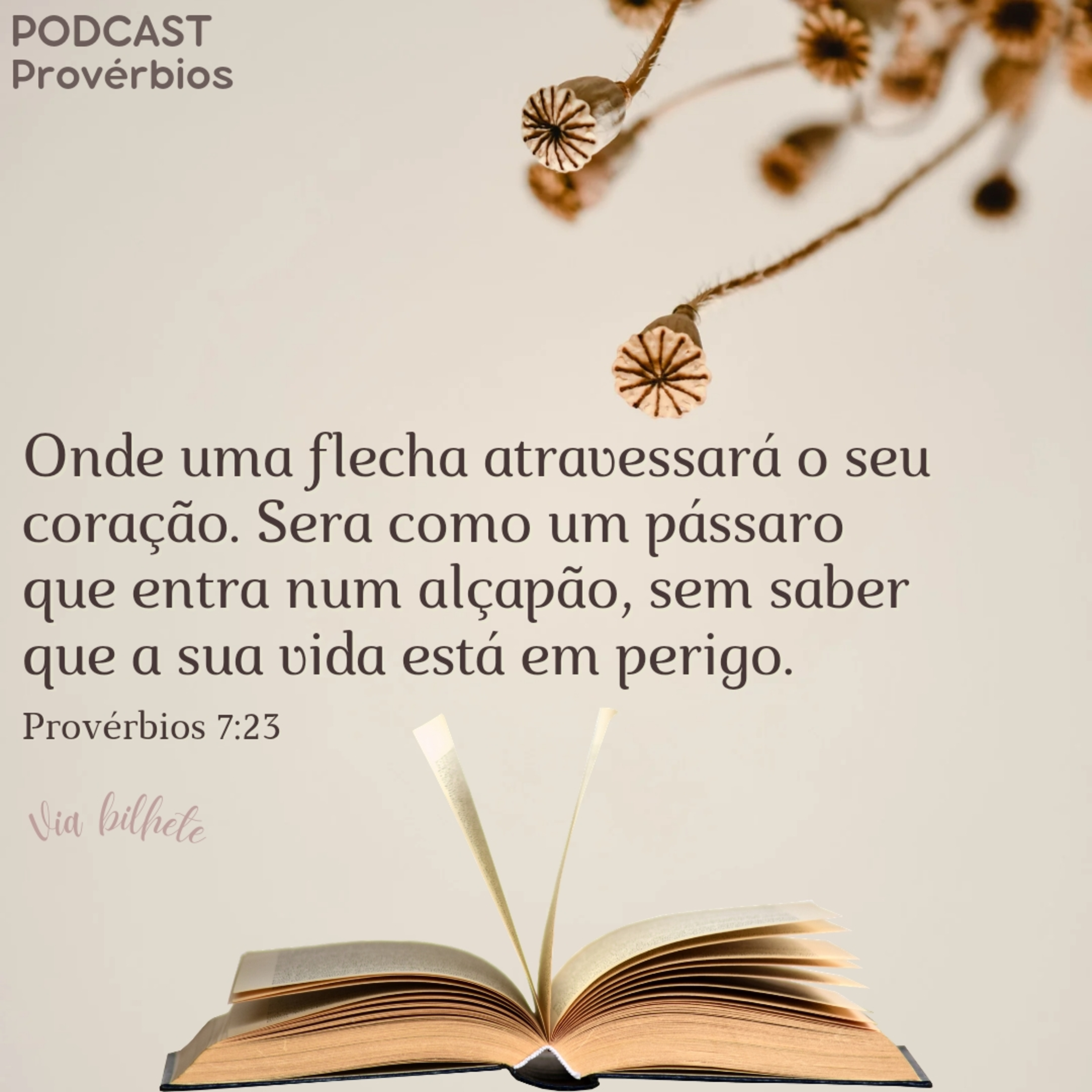 Cuidado com as paixões da carne! (Provérbios 7) episode artwork